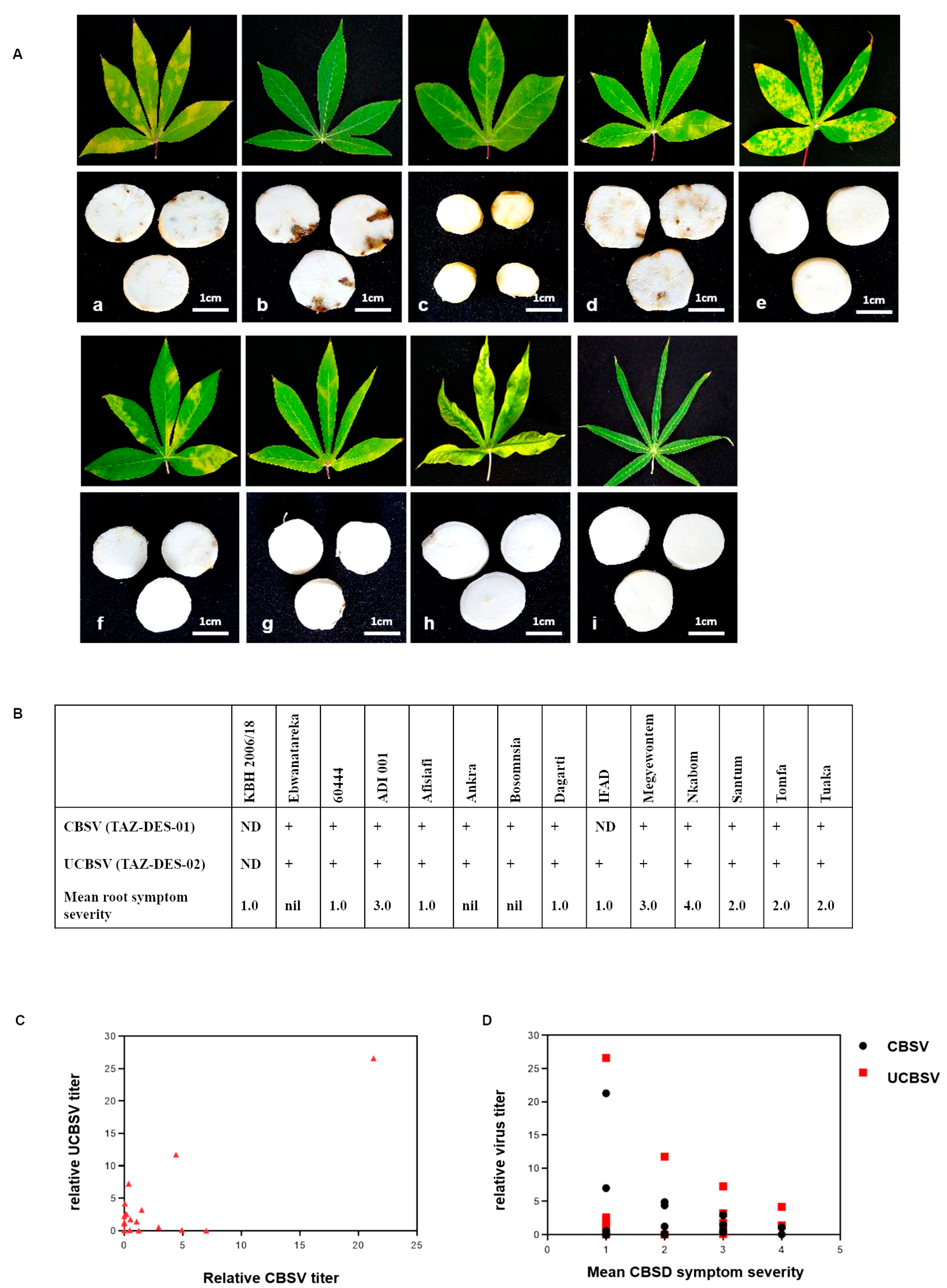 Plants 09 01026 g003 Plants 09 01026 g003