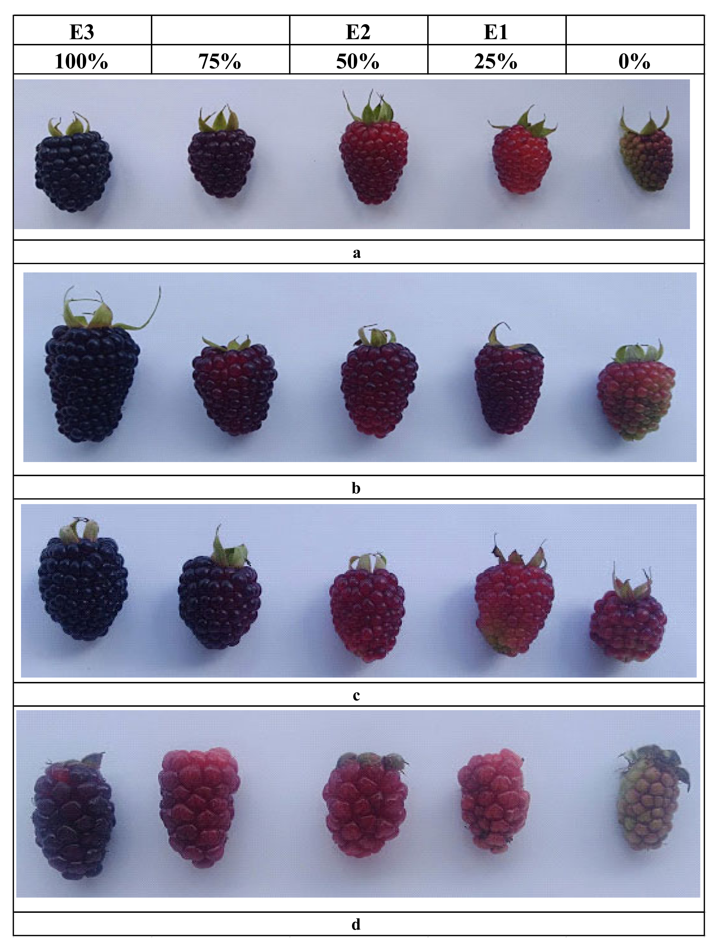 Plants 09 01027 g001