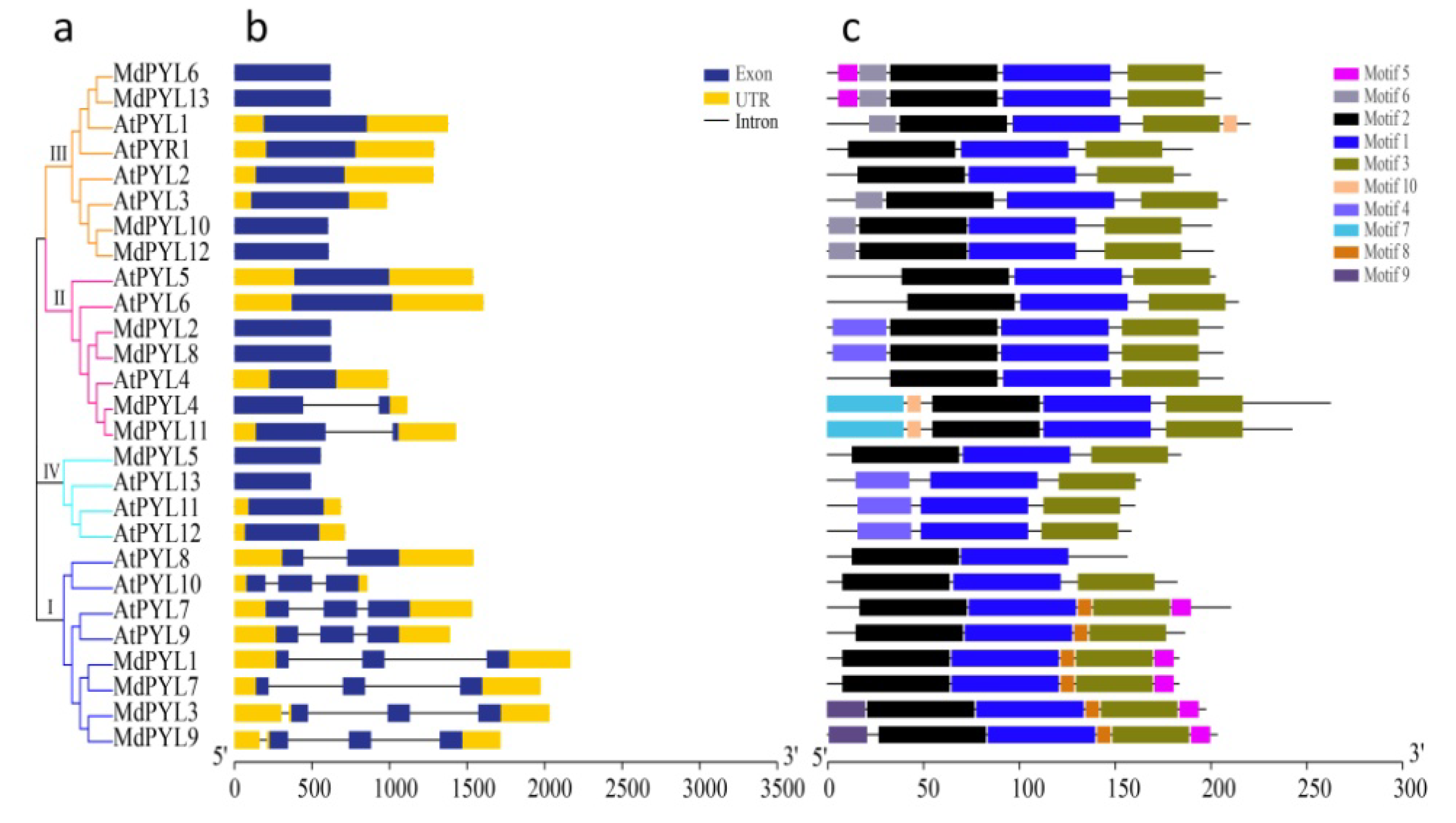 Plants 09 01028 g006 Plants 09 01028 g006