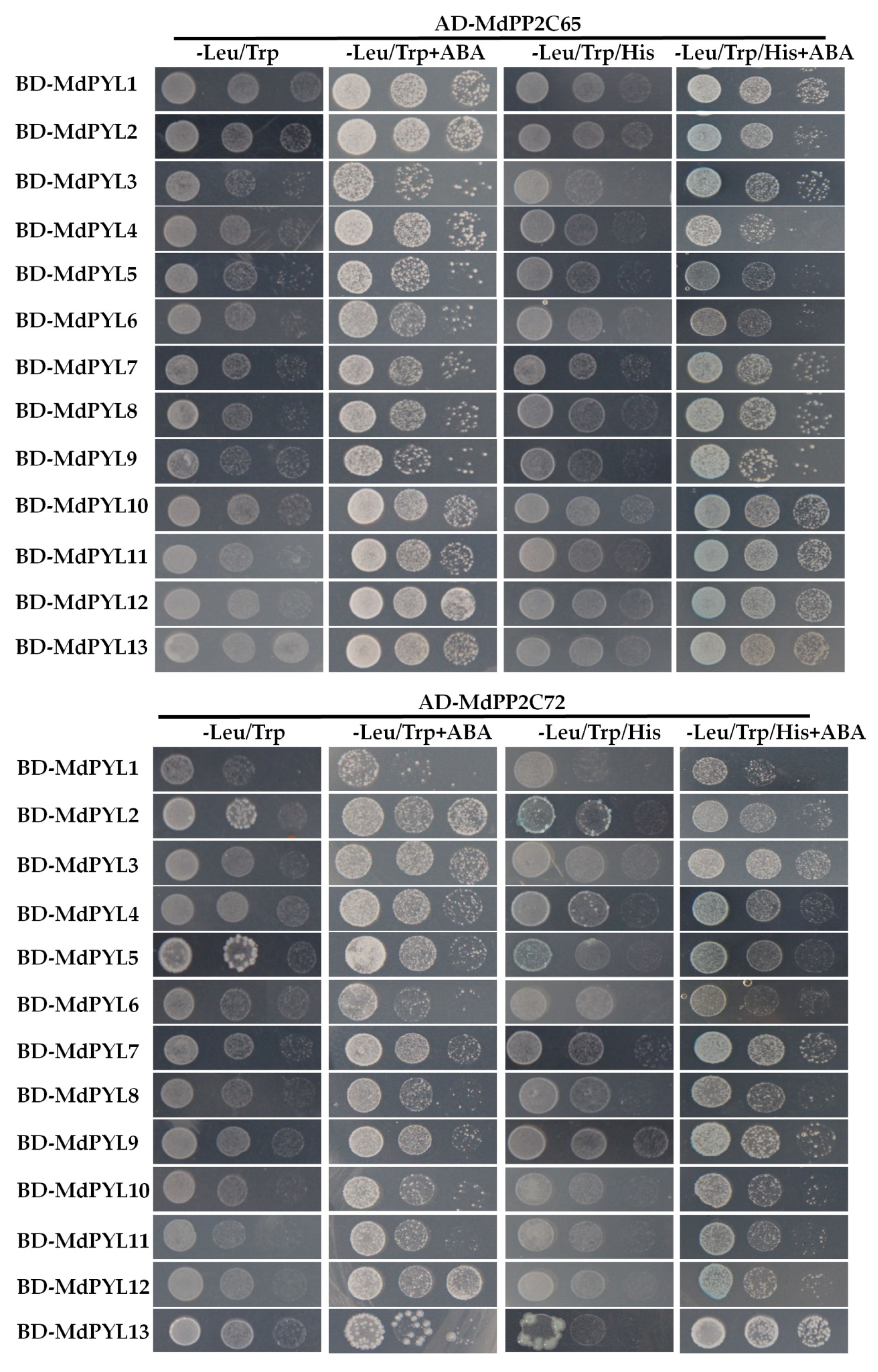 Plants 09 01028 g010 Plants 09 01028 g010