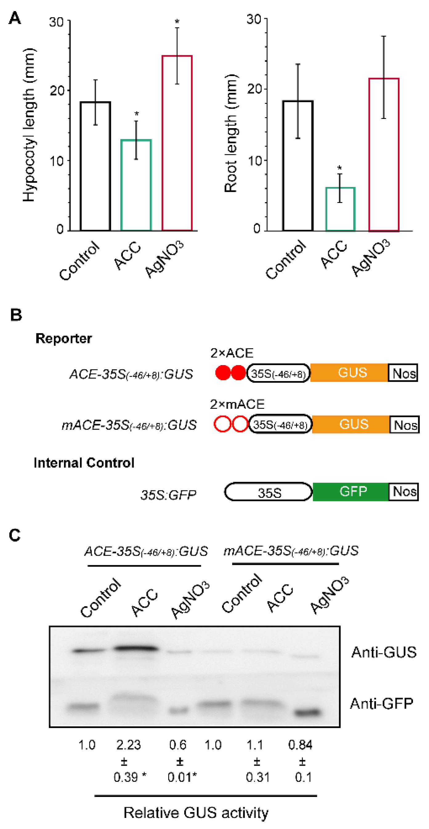 Plants 09 01033 g001