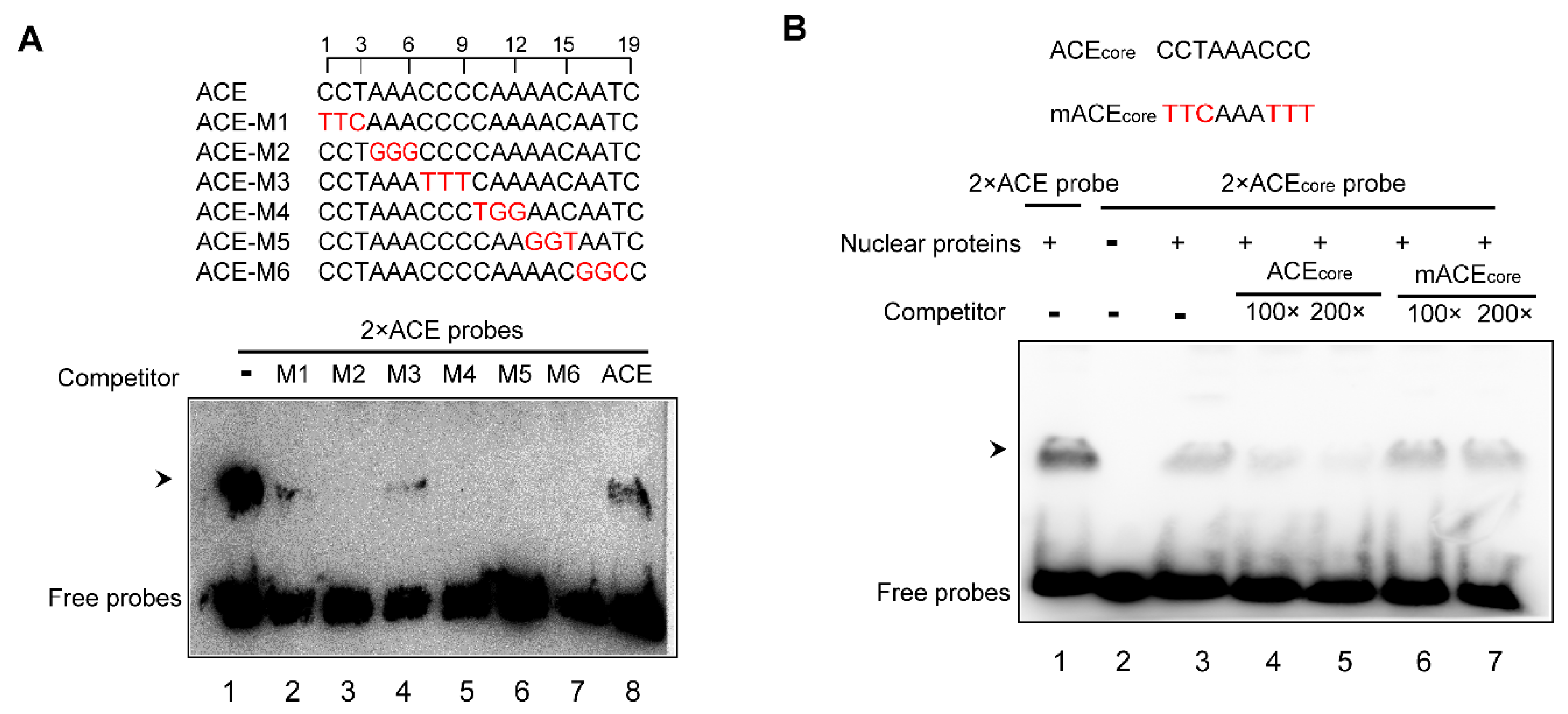 Plants 09 01033 g003