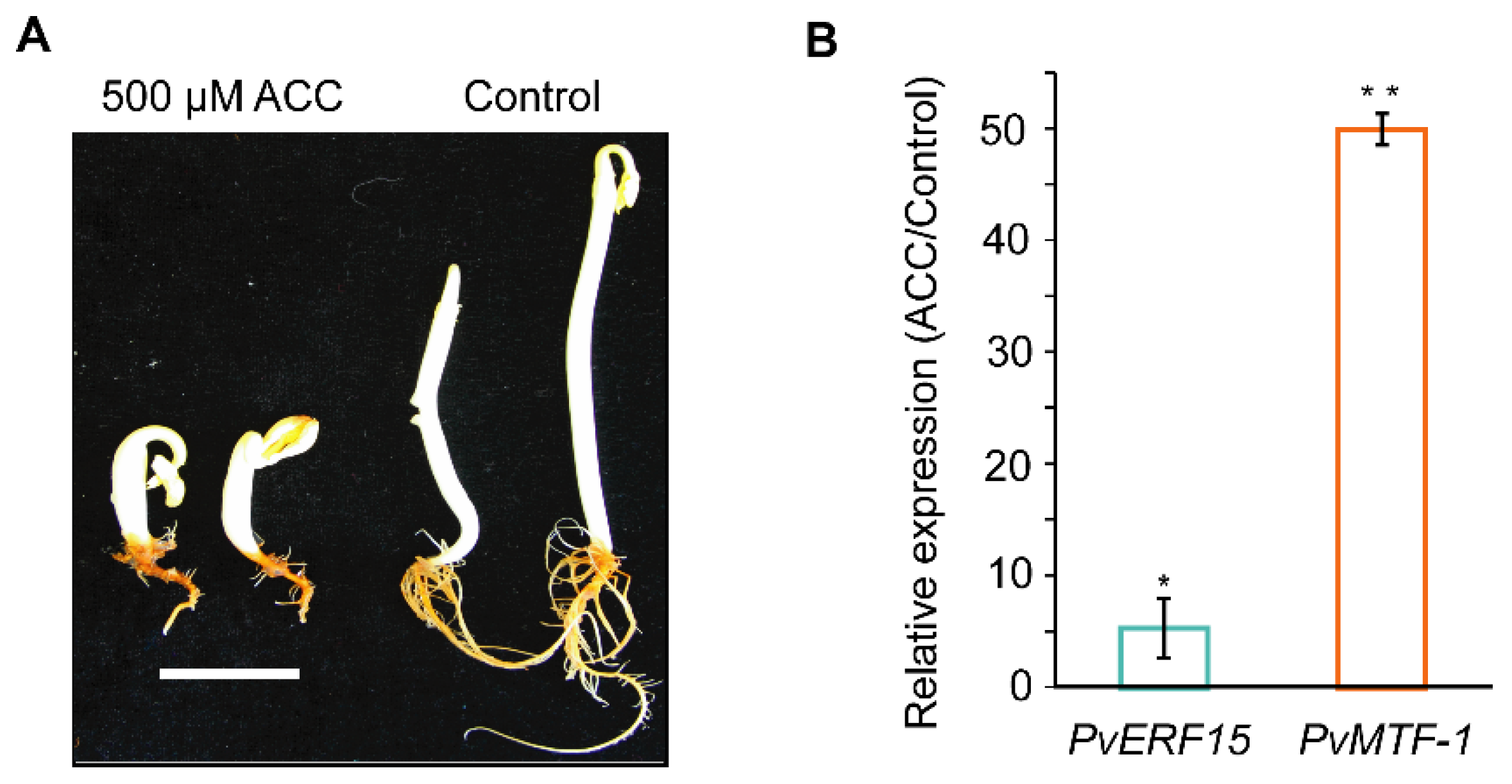 Plants 09 01033 g004