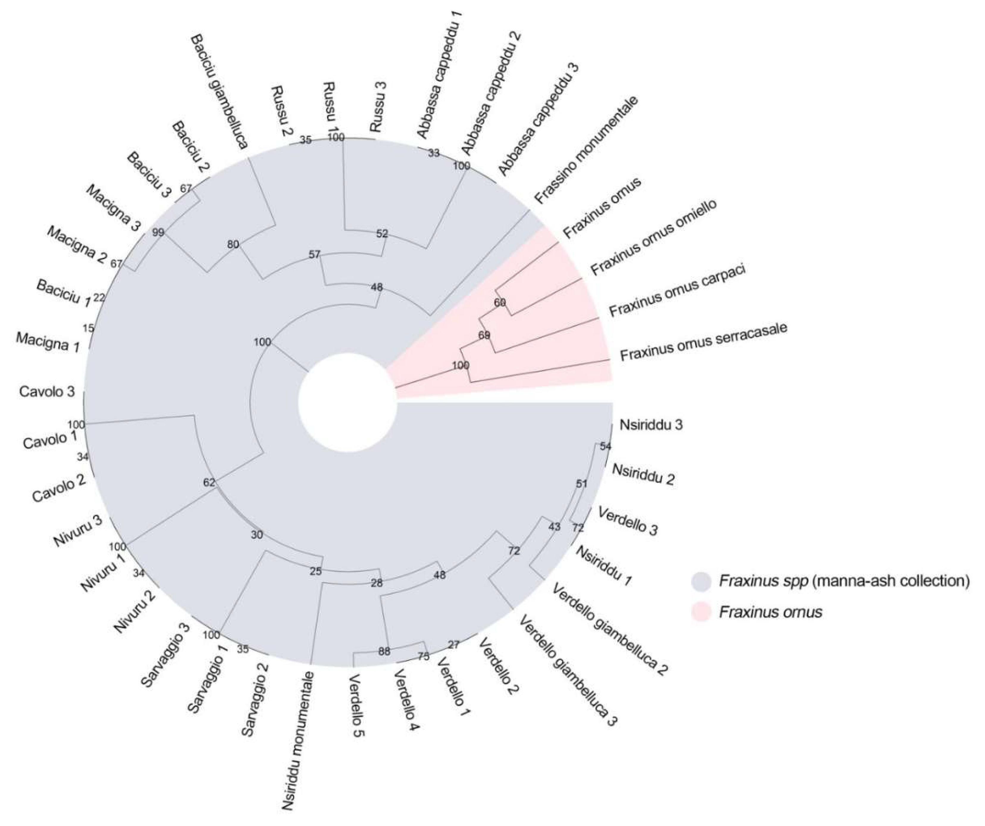 Plants 09 01035 g001