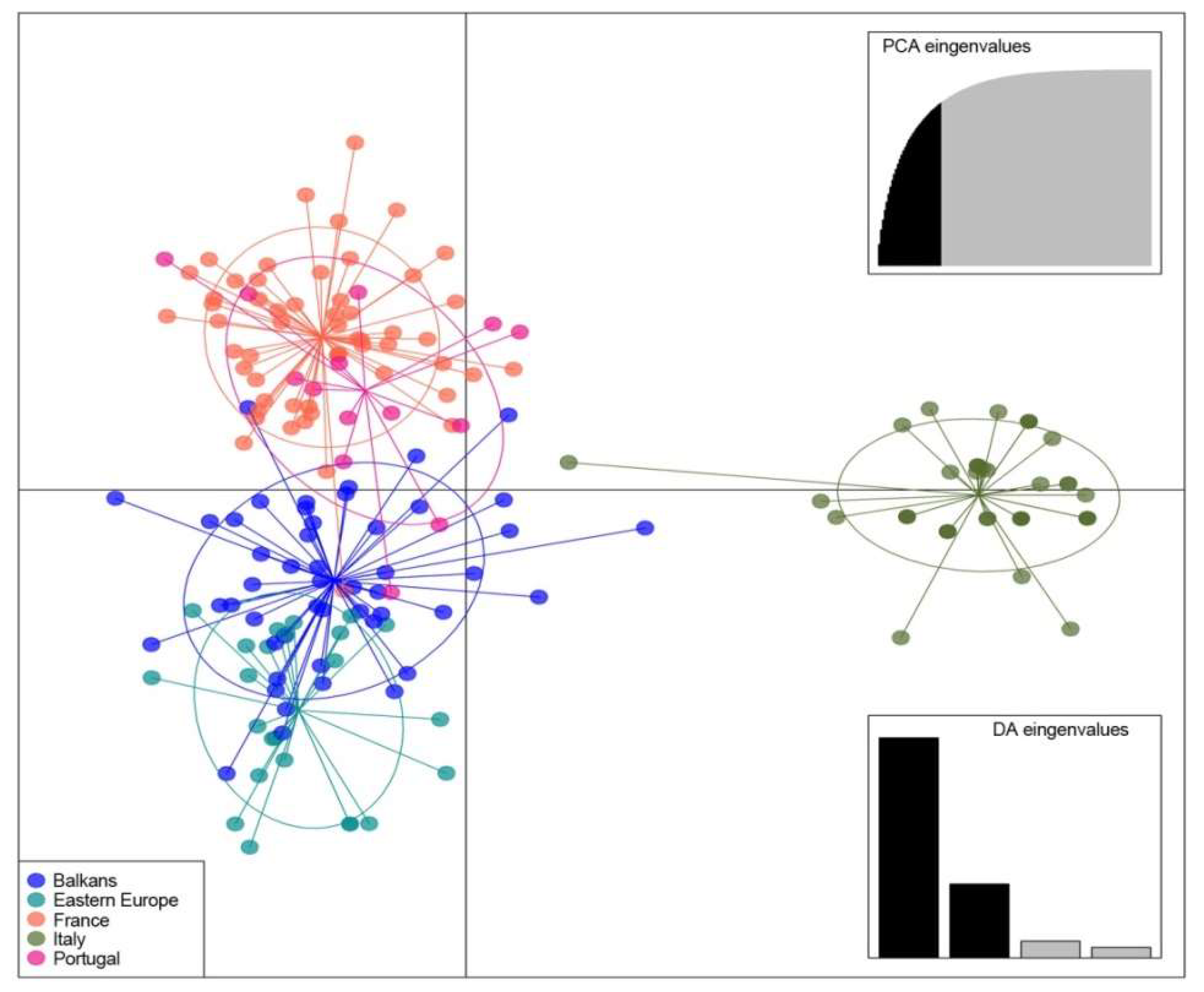 Plants 09 01035 g004
