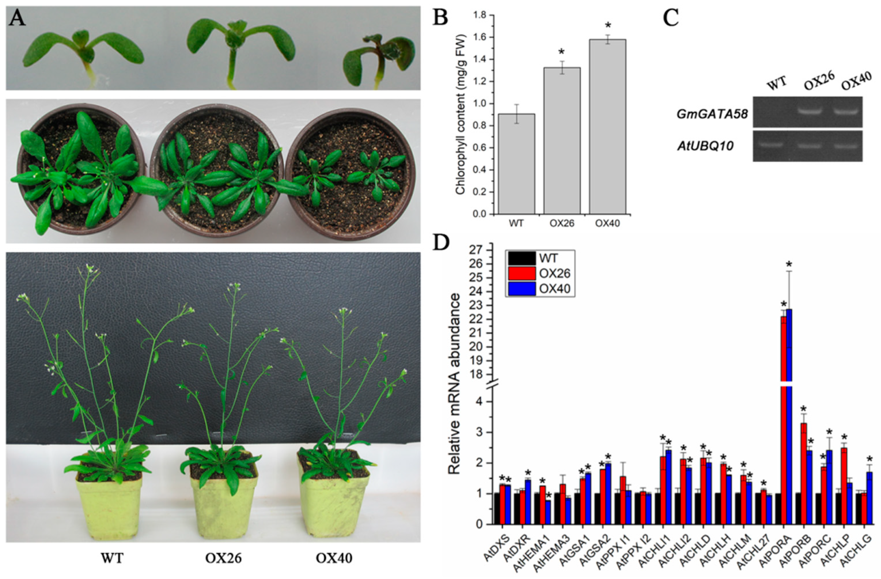 Plants 09 01036 g005