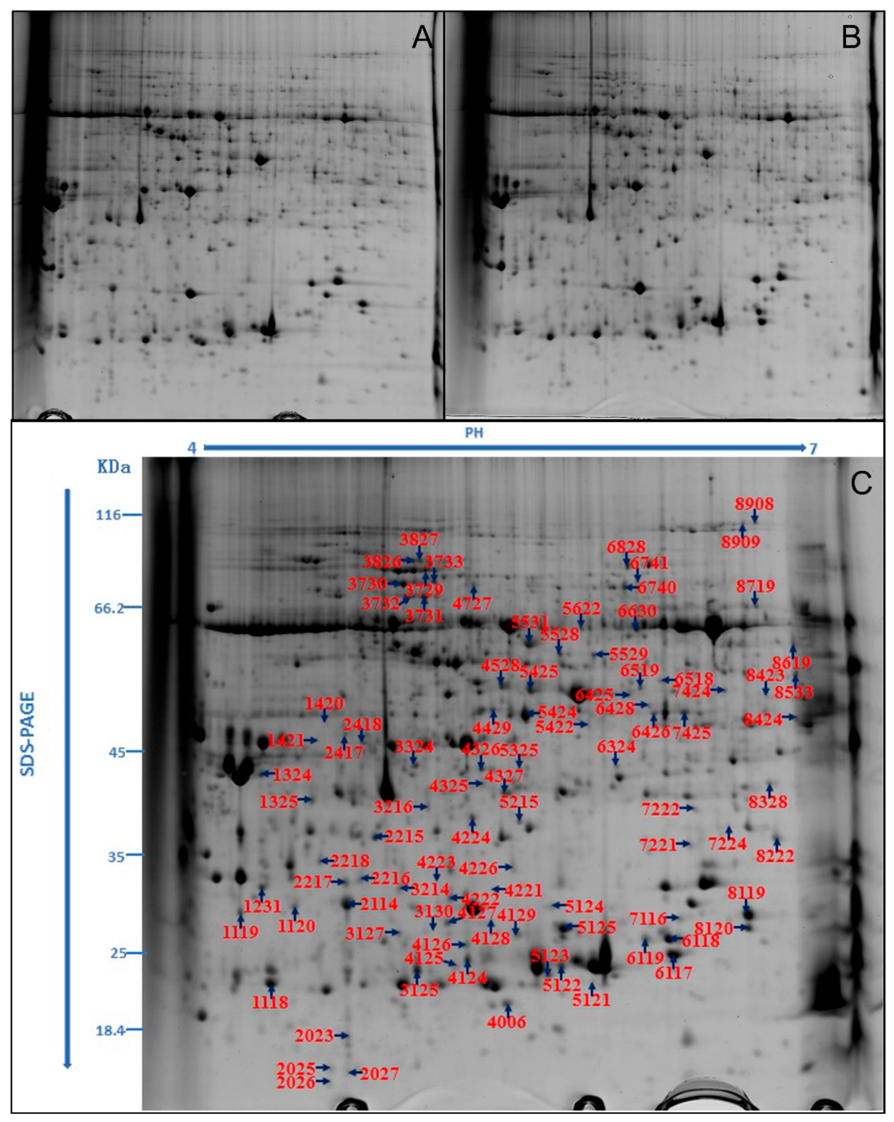 Plants 09 01040 g003 Plants 09 01040 g003