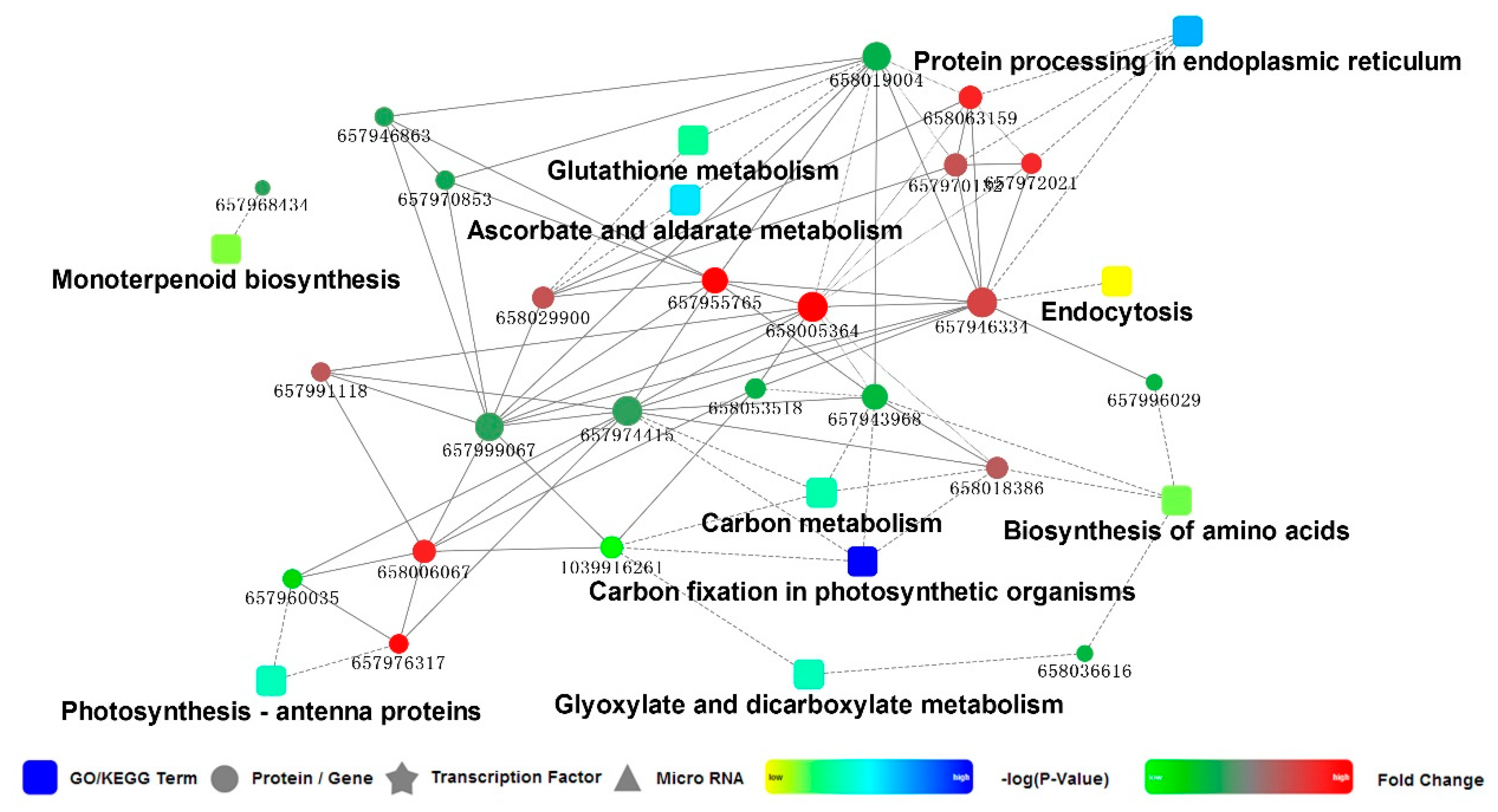 Plants 09 01040 g005 Plants 09 01040 g005