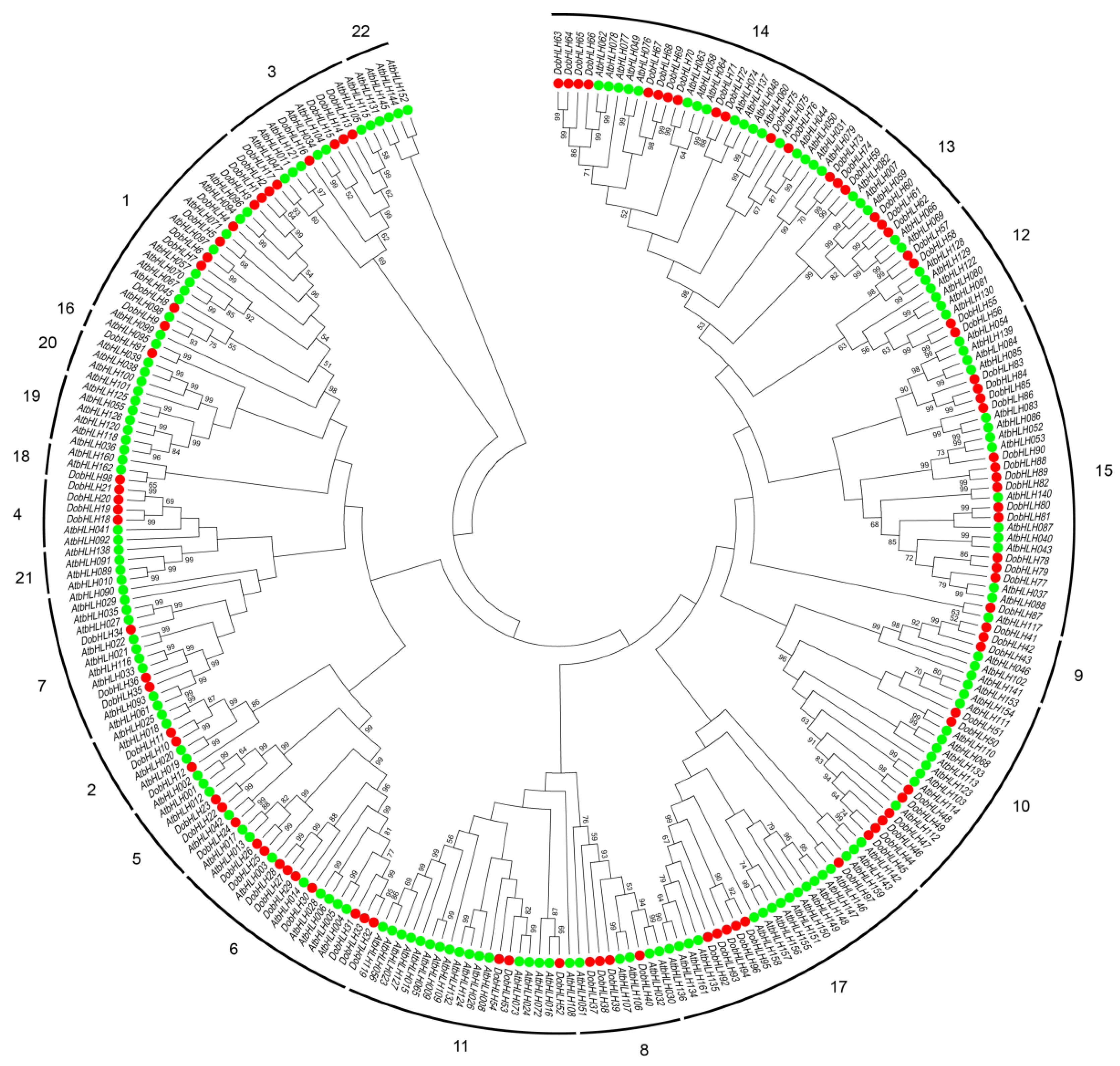 ウルフ Genomic Characterization and Expression Analysis of Basic