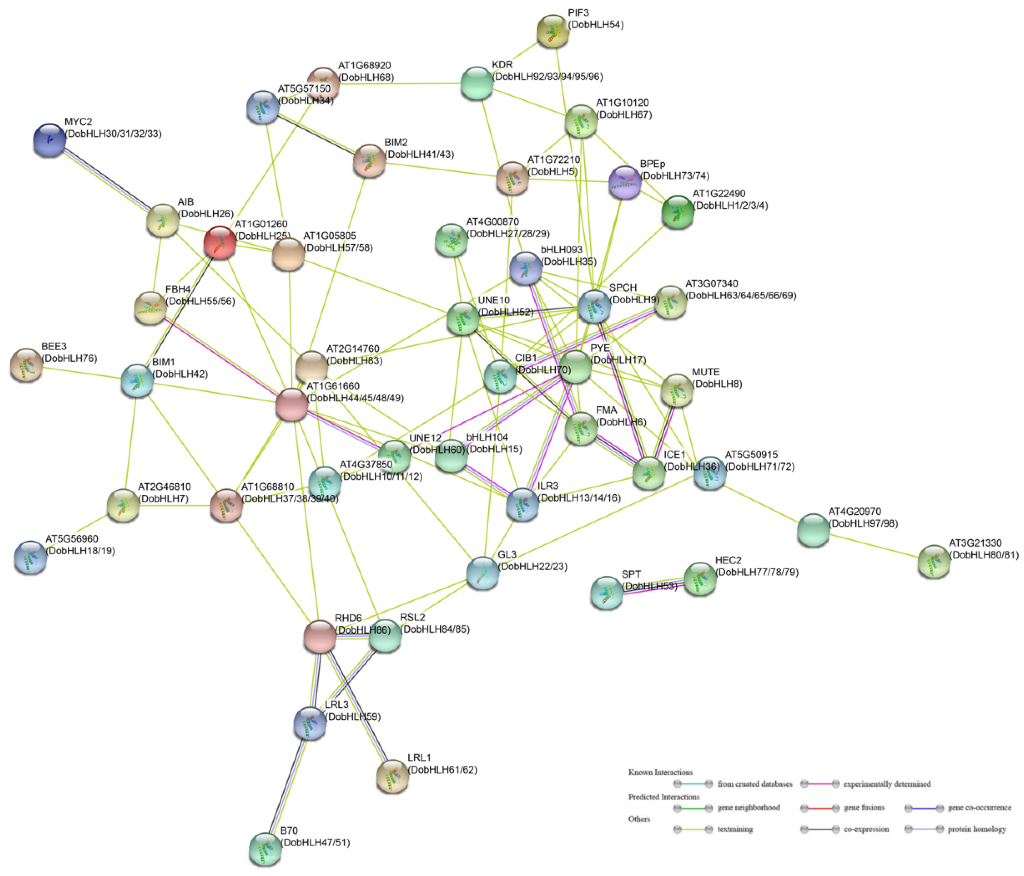 Plants 09 01044 g007 Plants 09 01044 g007