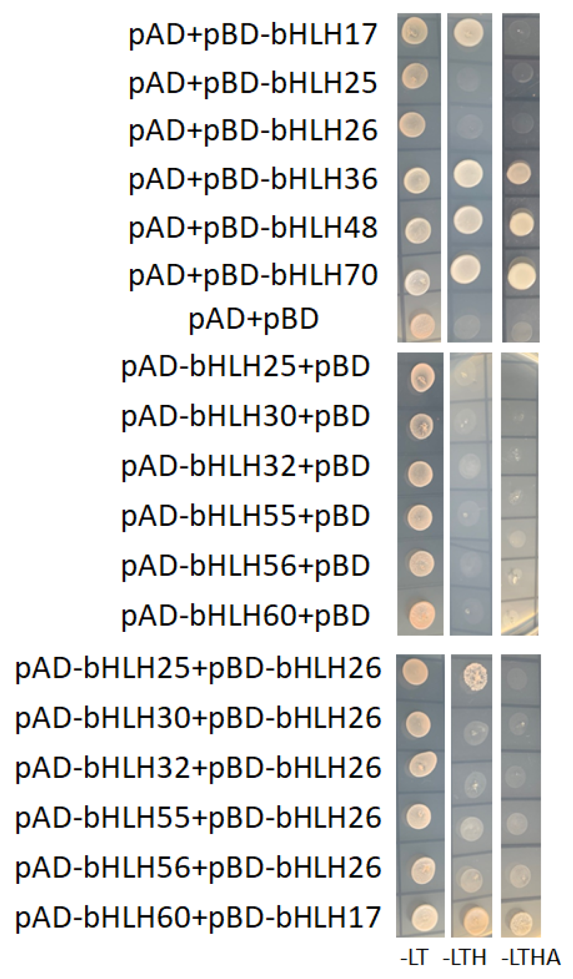 Plants 09 01044 g008 Plants 09 01044 g008