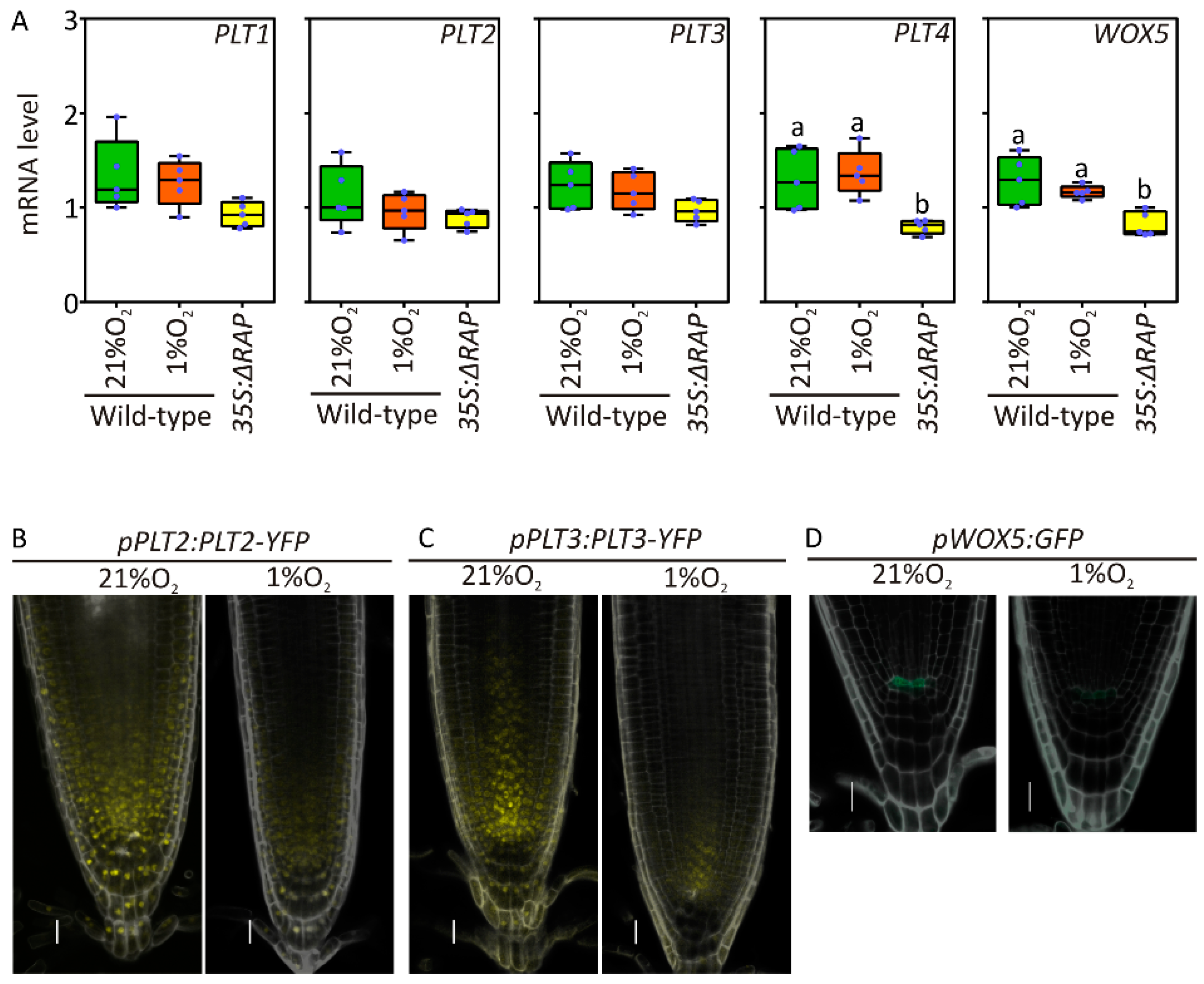 Plants 09 01046 g002