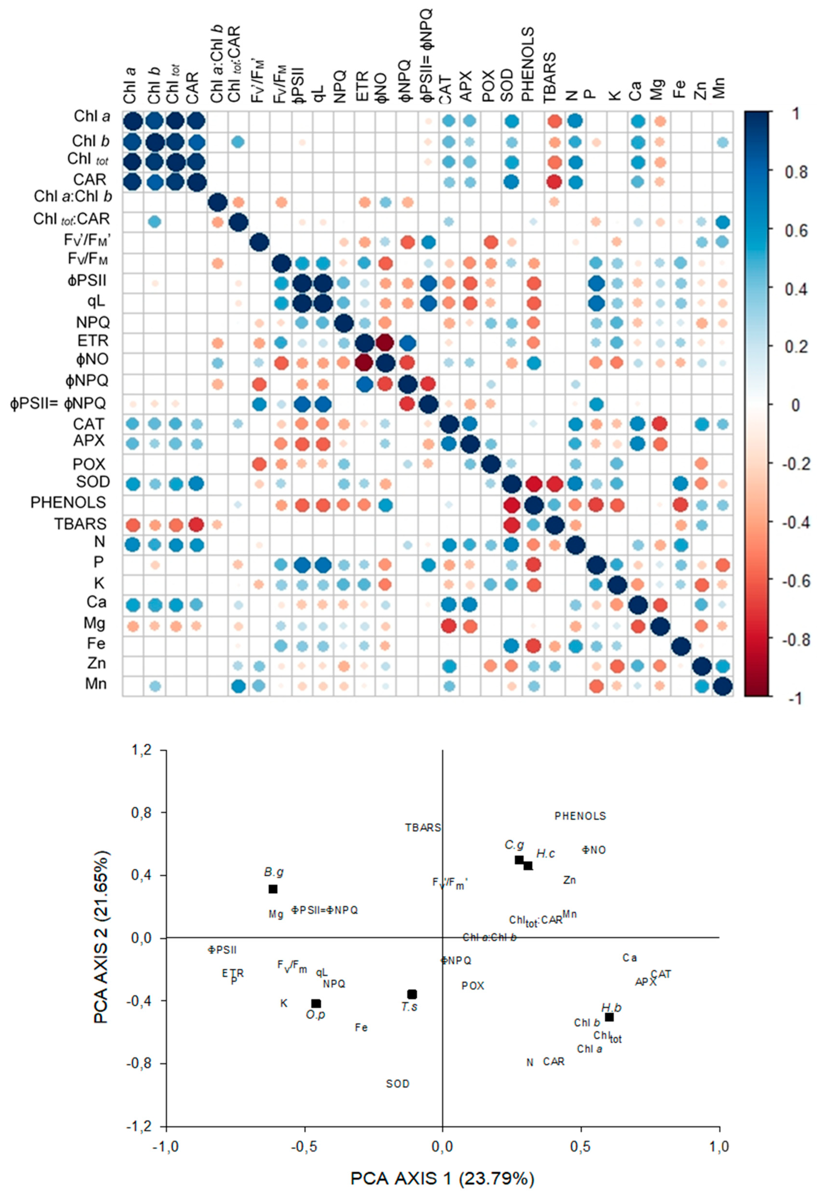 Plants 09 01047 g002