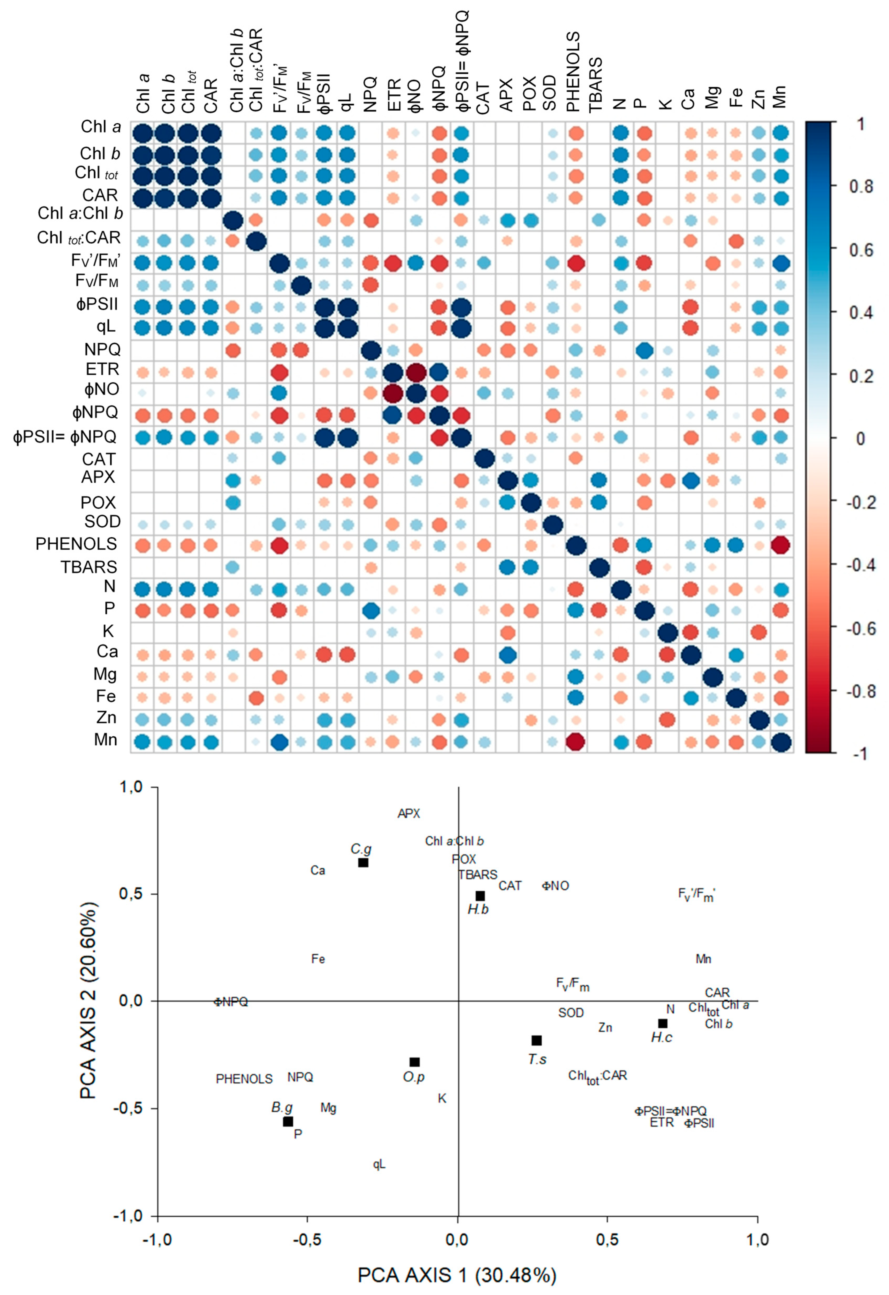Plants 09 01047 g003