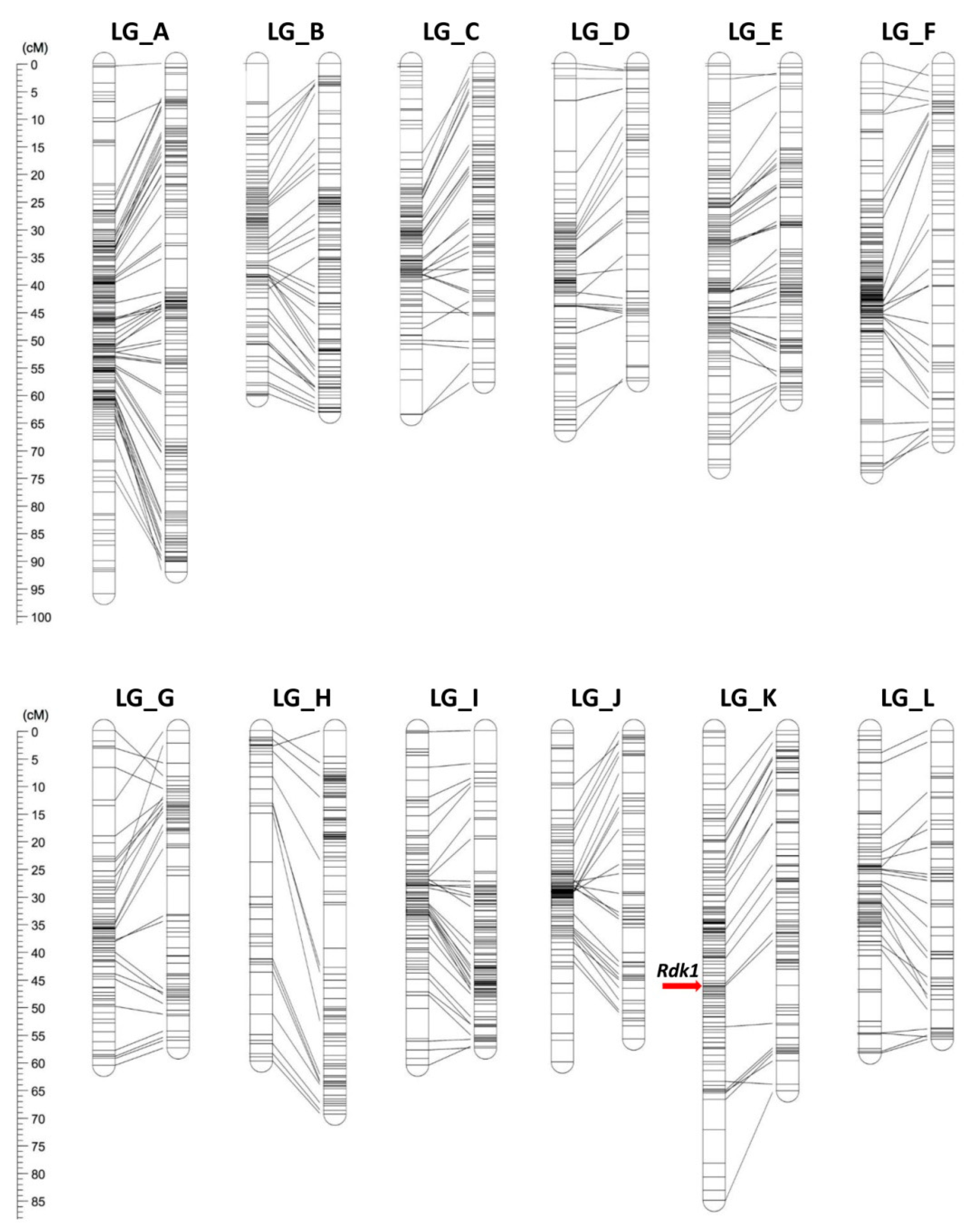 Plants 09 01048 g001