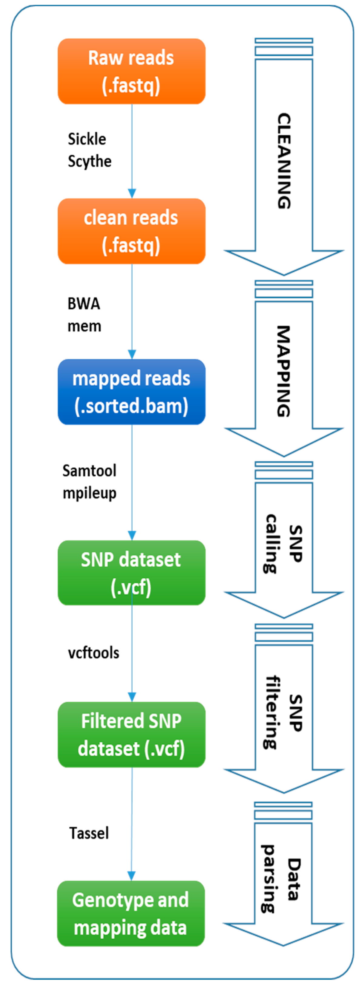 Plants 09 01048 g002
