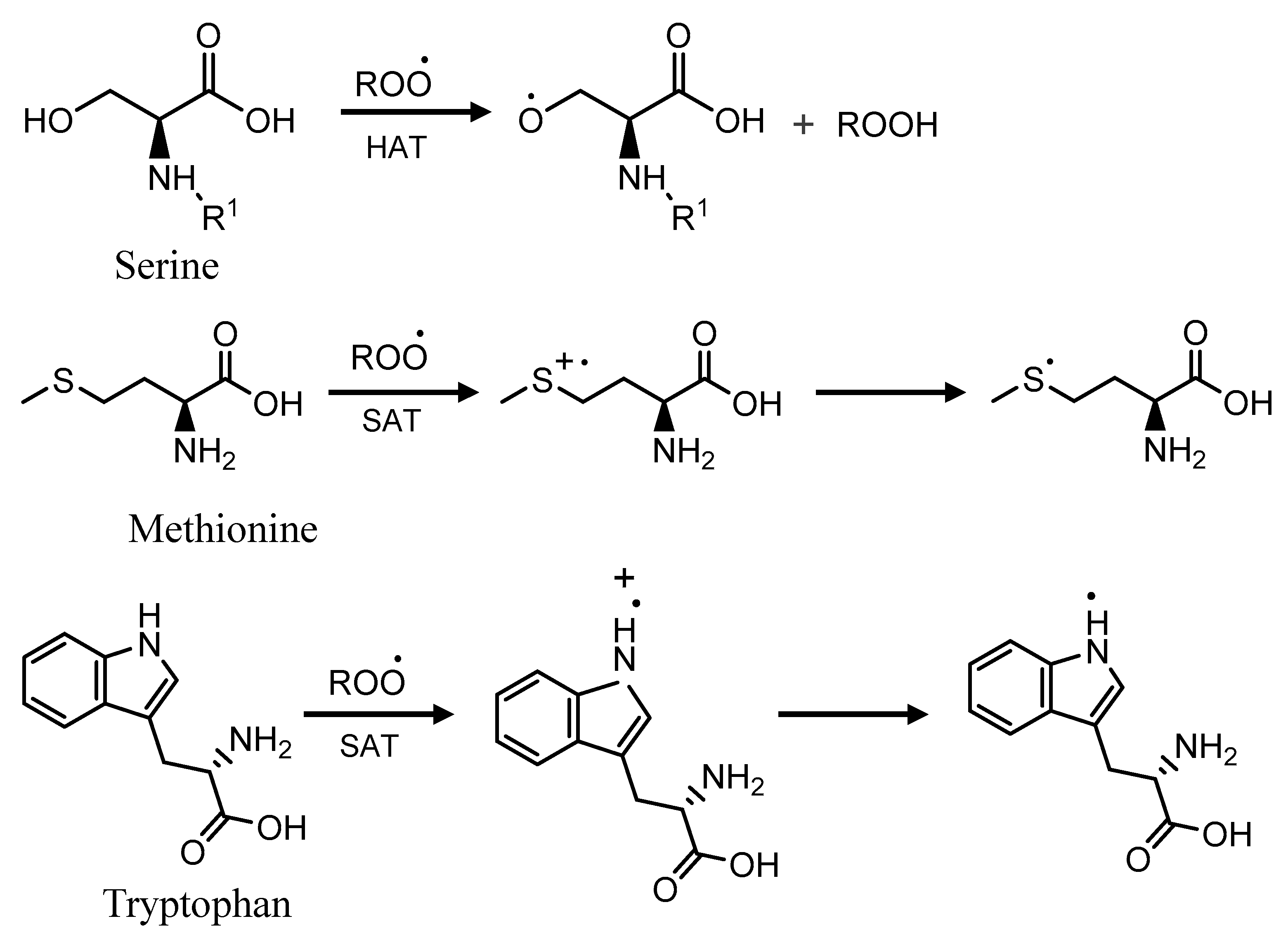 Plants 09 01058 g011