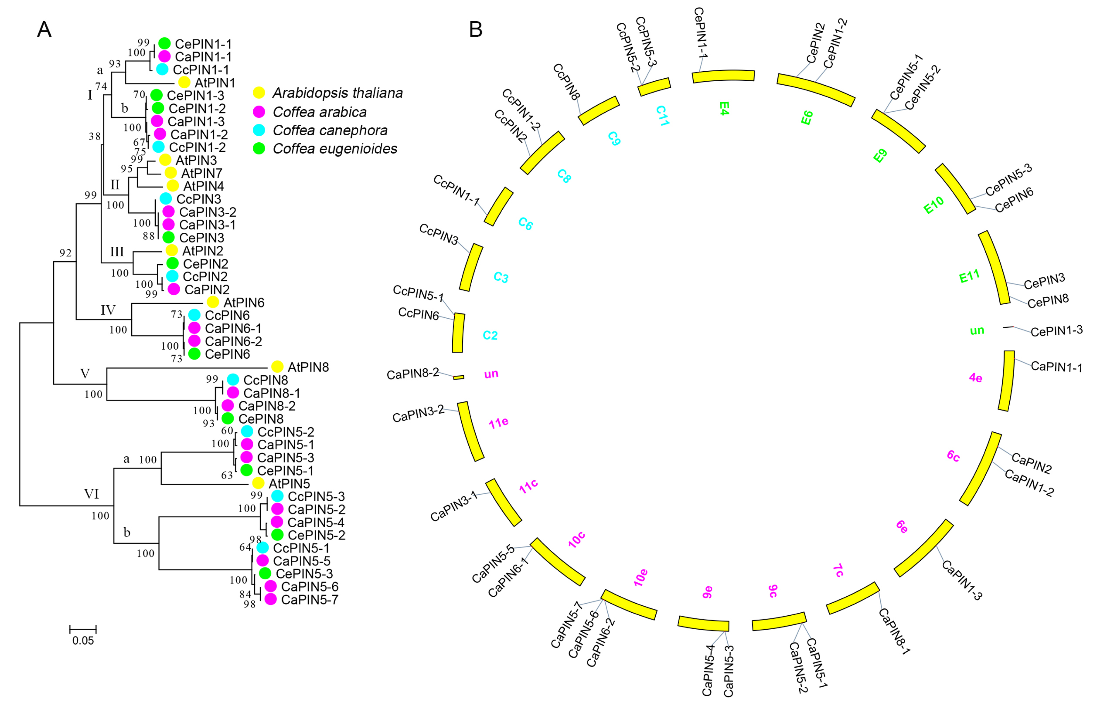 Plants 09 01061 g001