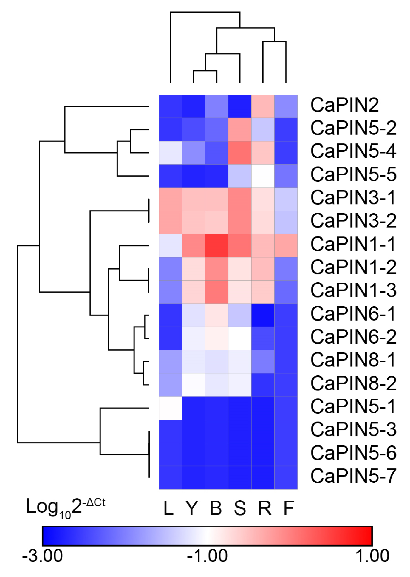 Plants 09 01061 g004