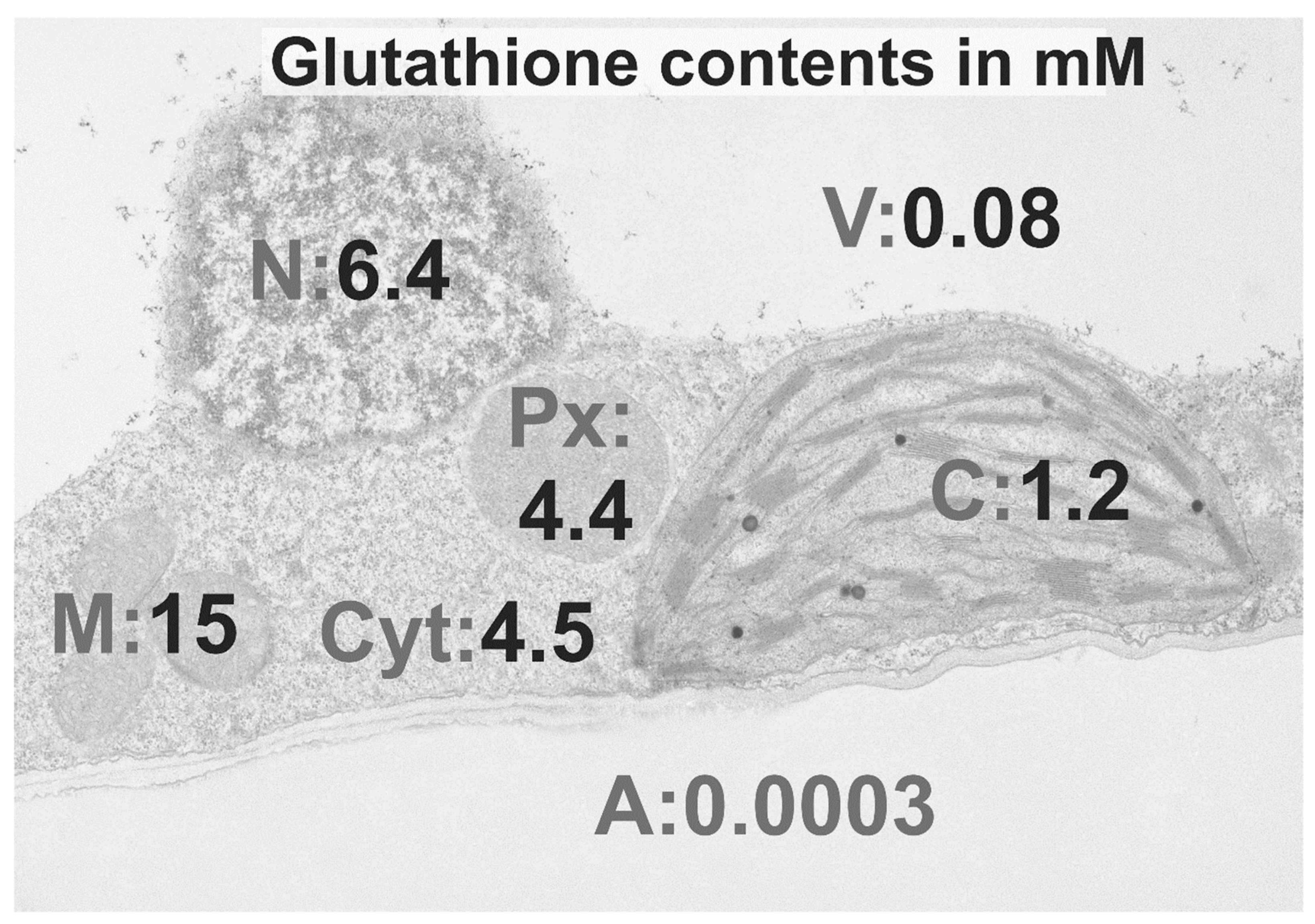 Plants 09 01067 g002 Plants 09 01067 g002