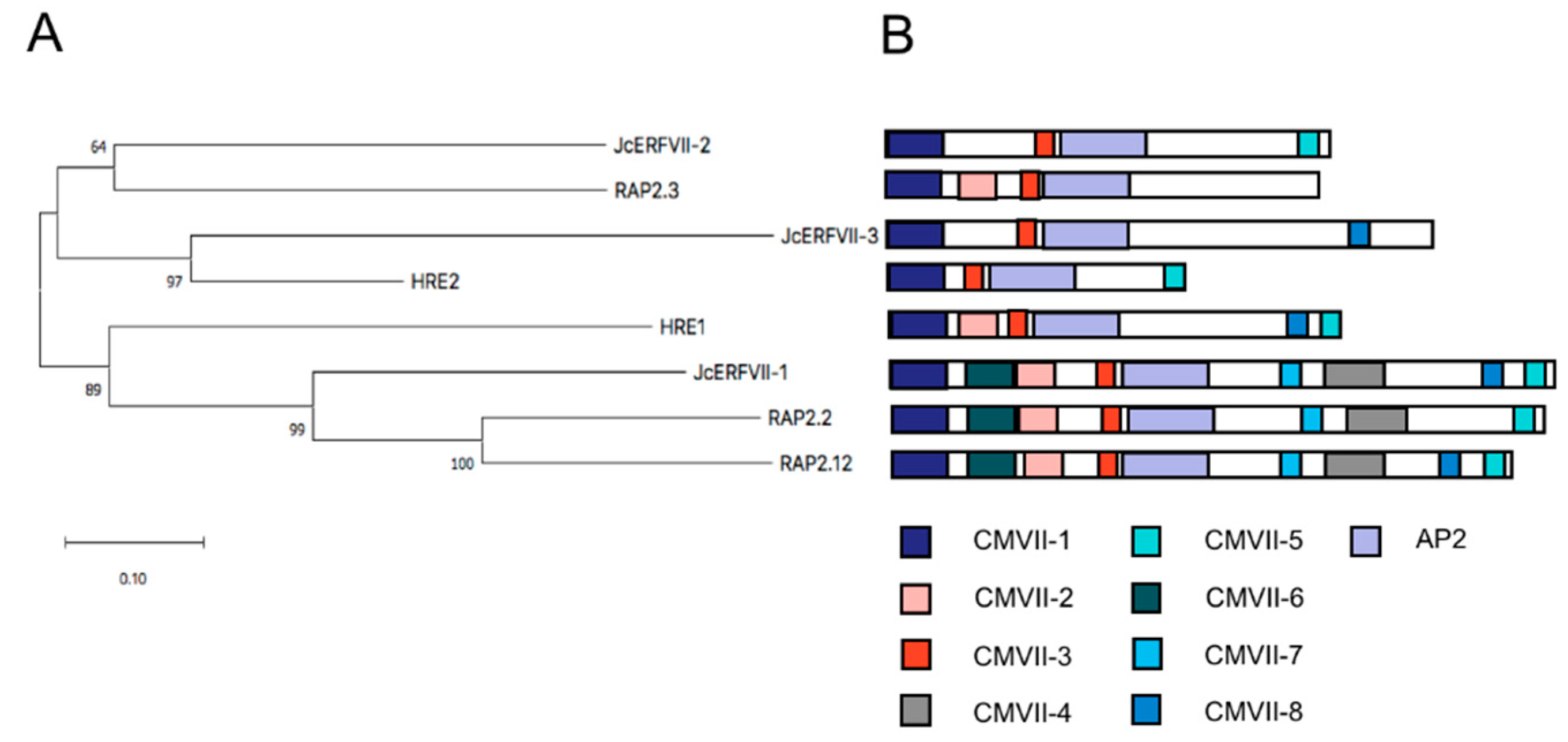 Plants 09 01068 g001