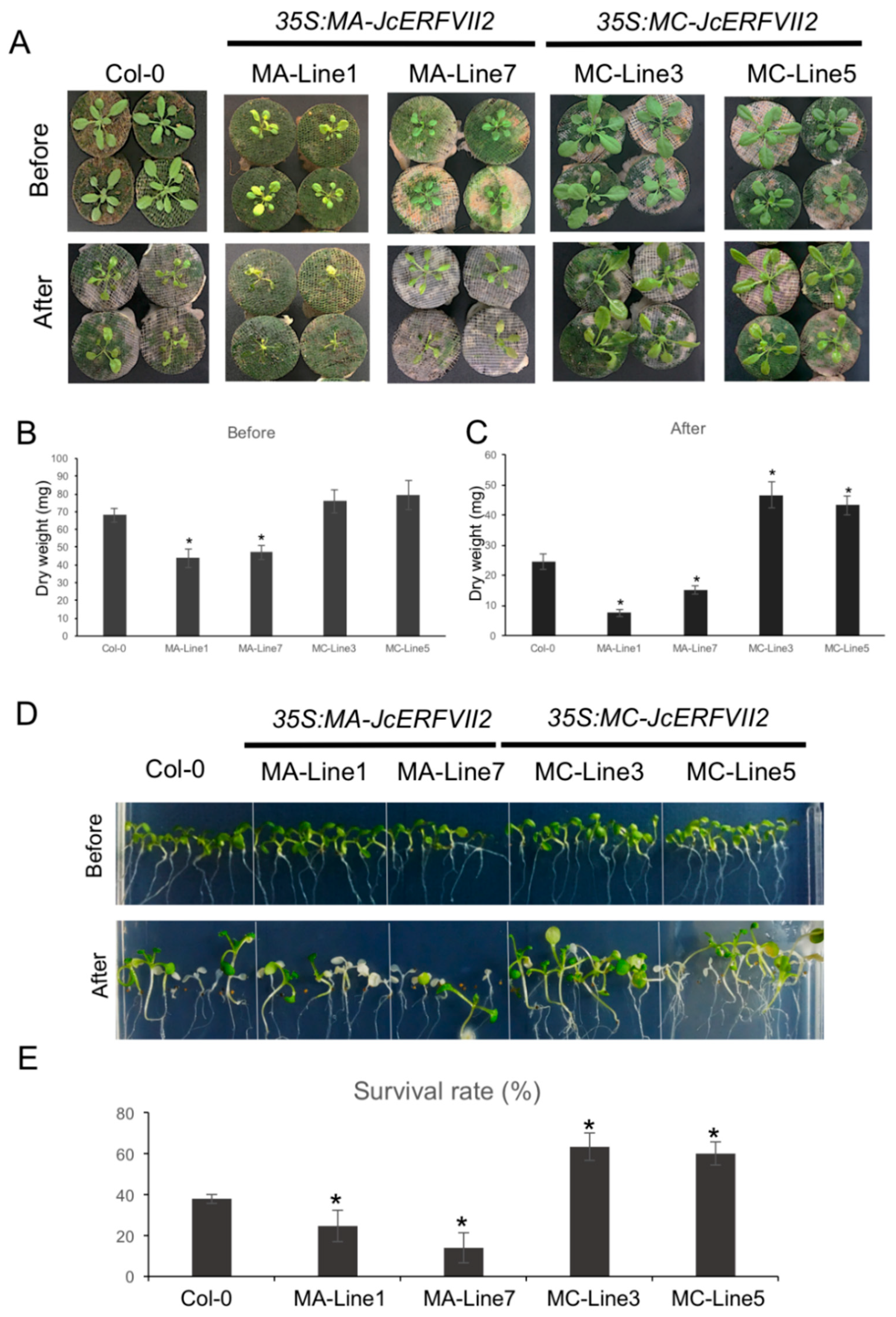 Plants 09 01068 g004