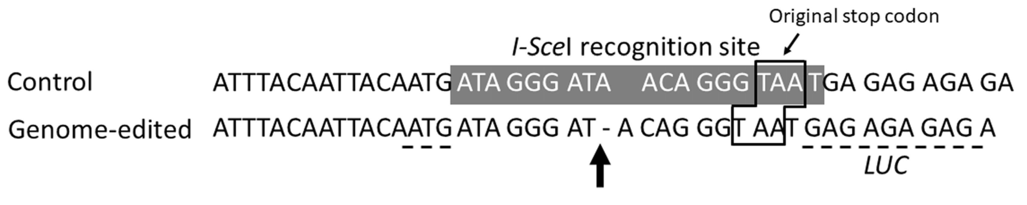 Plants 09 01070 g005