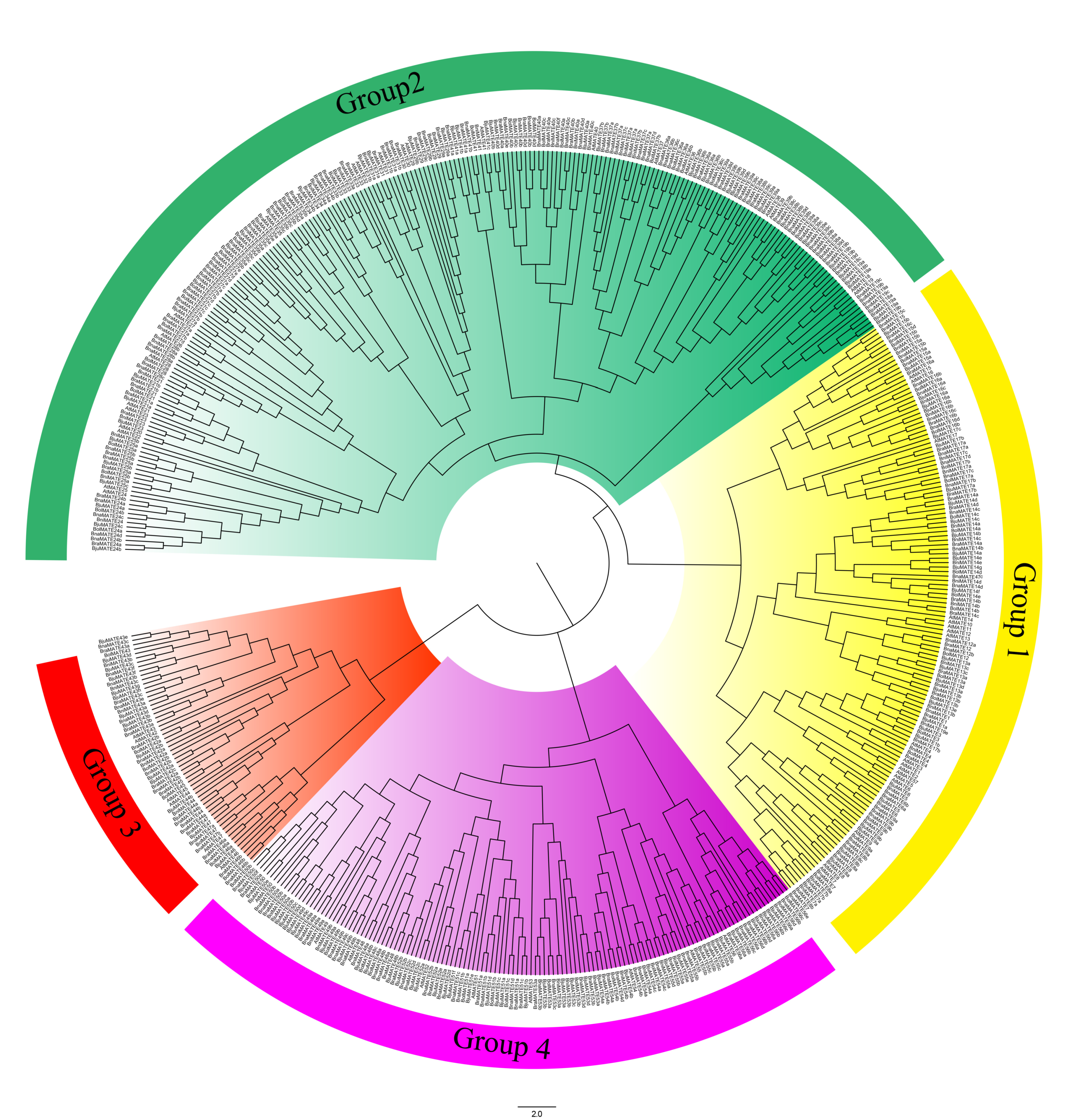 Plants 09 01072 g001 Plants 09 01072 g001