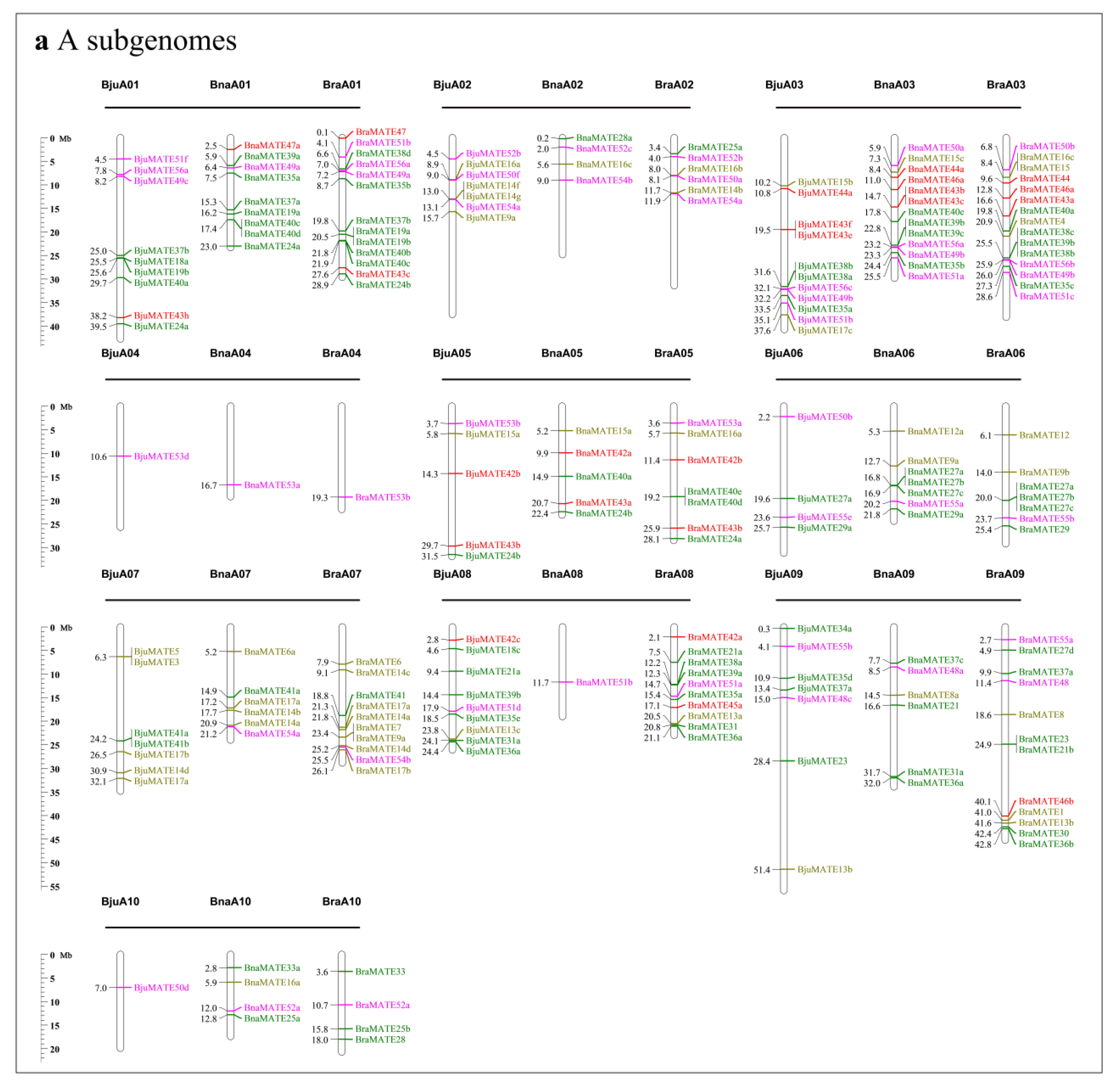 Plants 09 01072 g002a Plants 09 01072 g002a