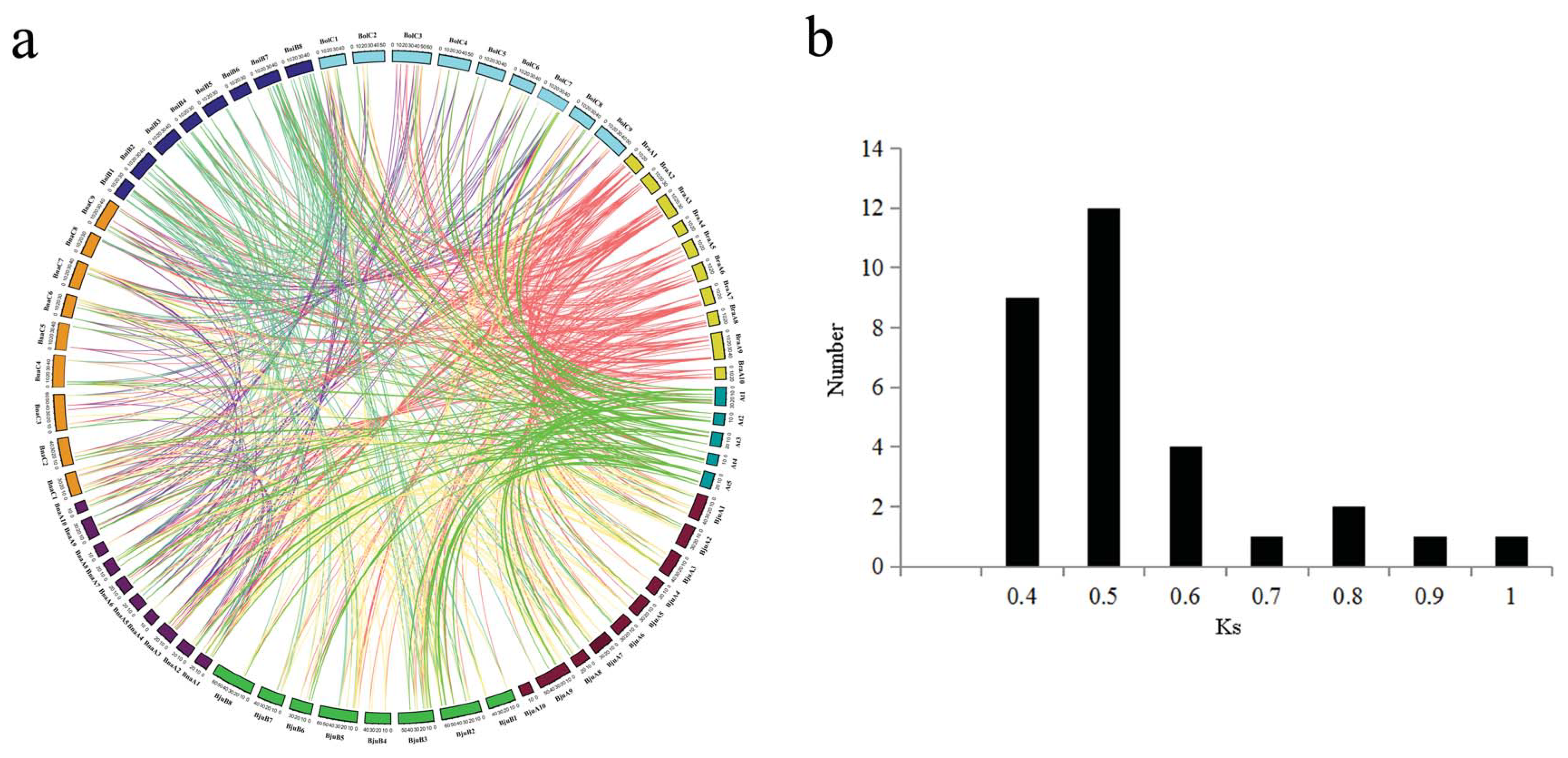 Plants 09 01072 g003a Plants 09 01072 g003a