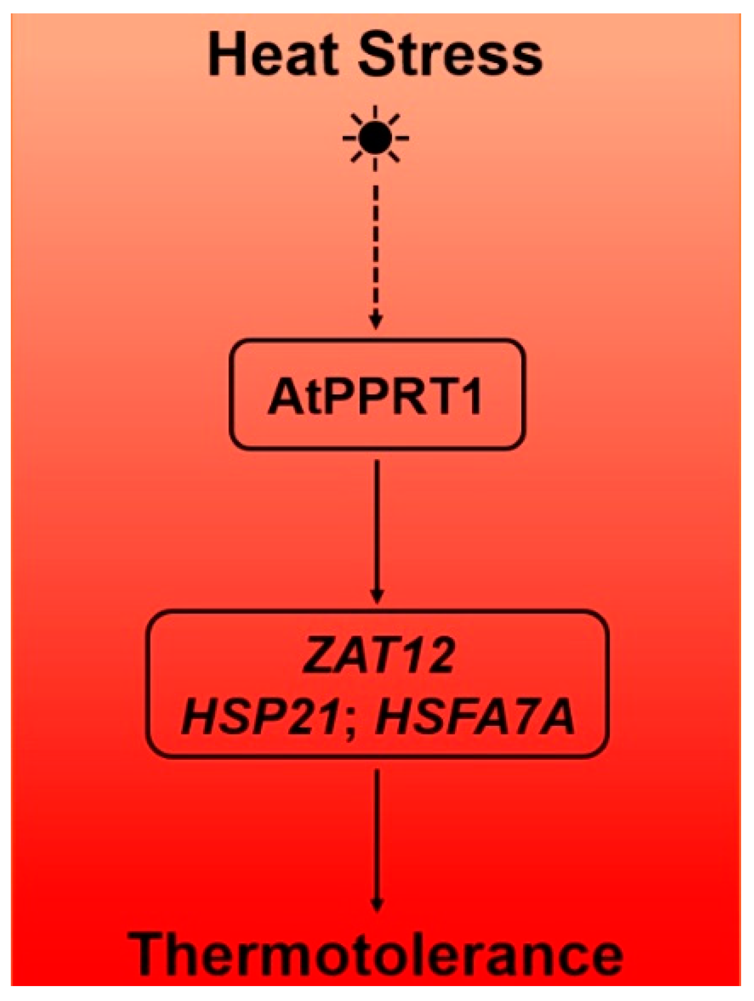 Plants 09 01074 g006