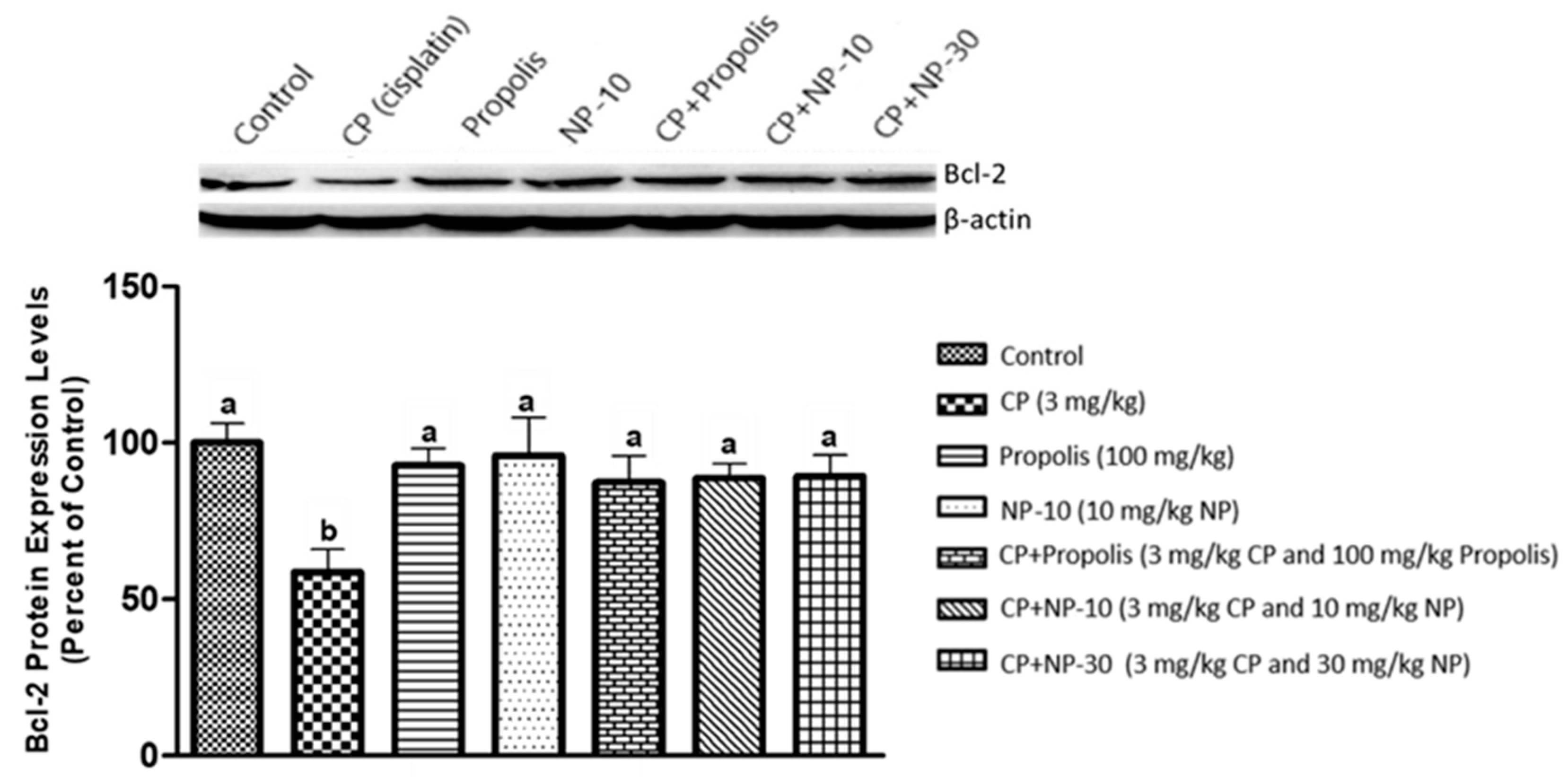 Plants 09 01075 g002