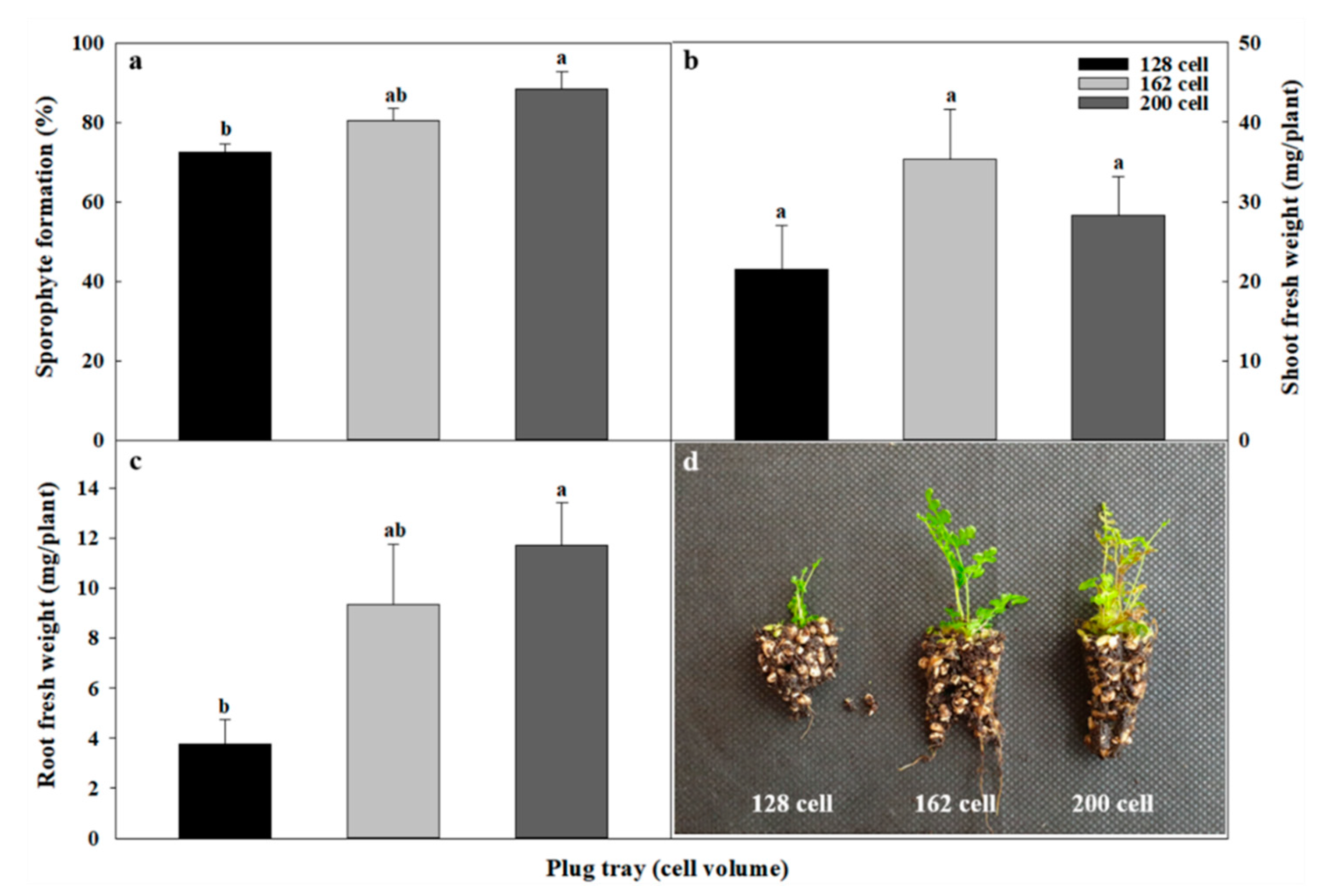 Plants 09 01079 g002