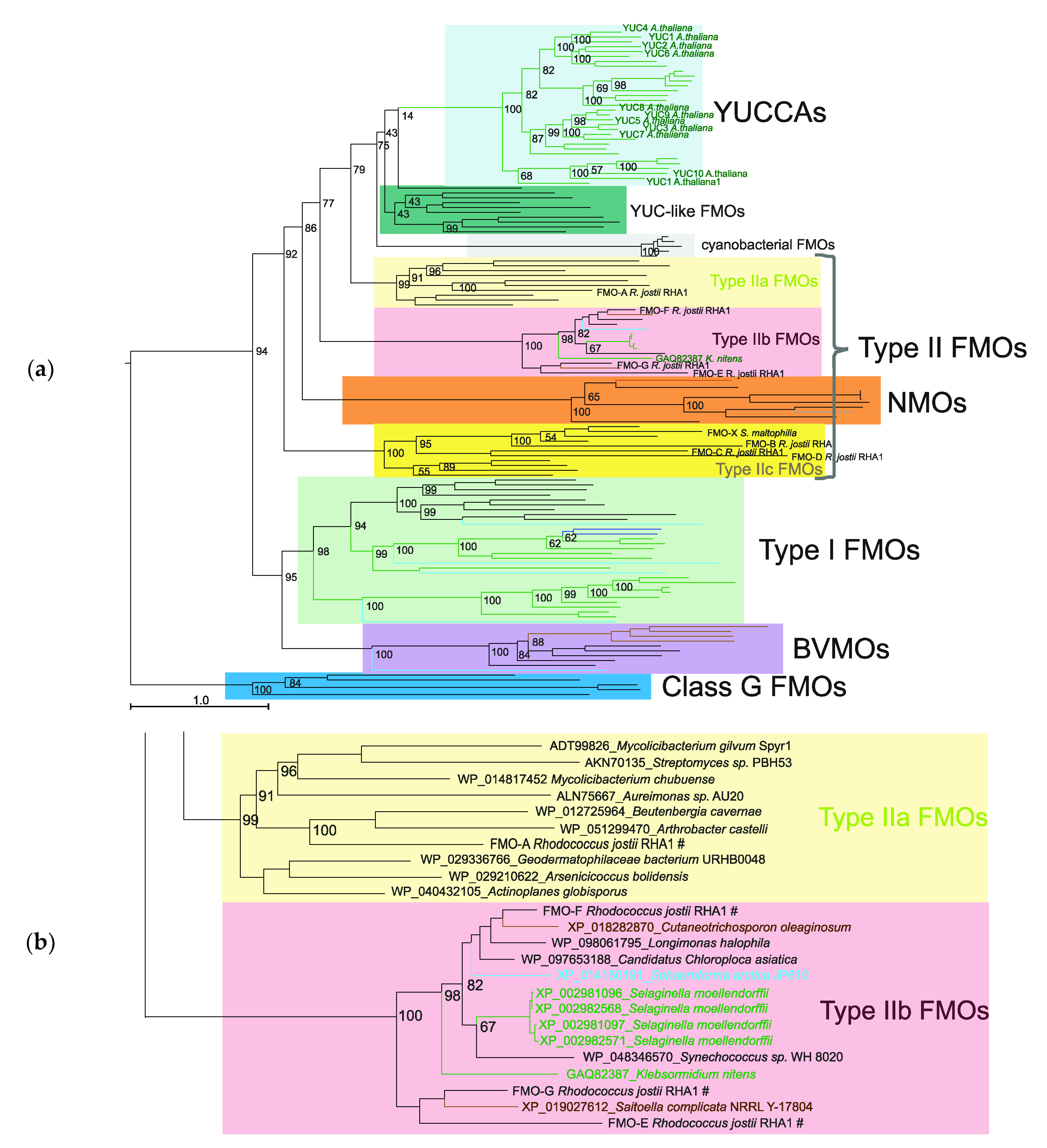 Plants 09 01092 g001