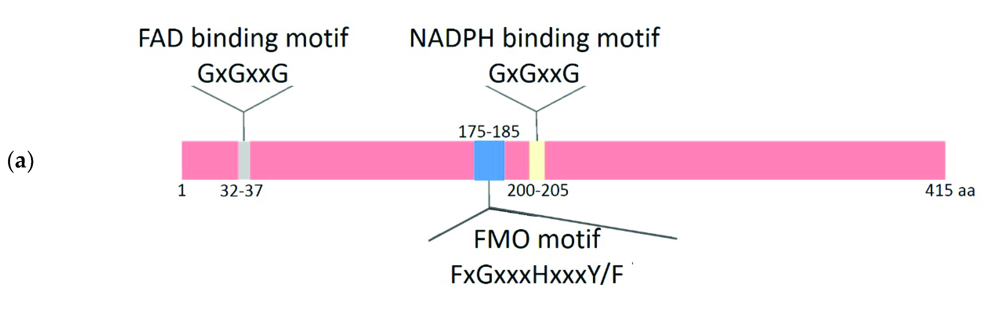 Plants 09 01092 g002a