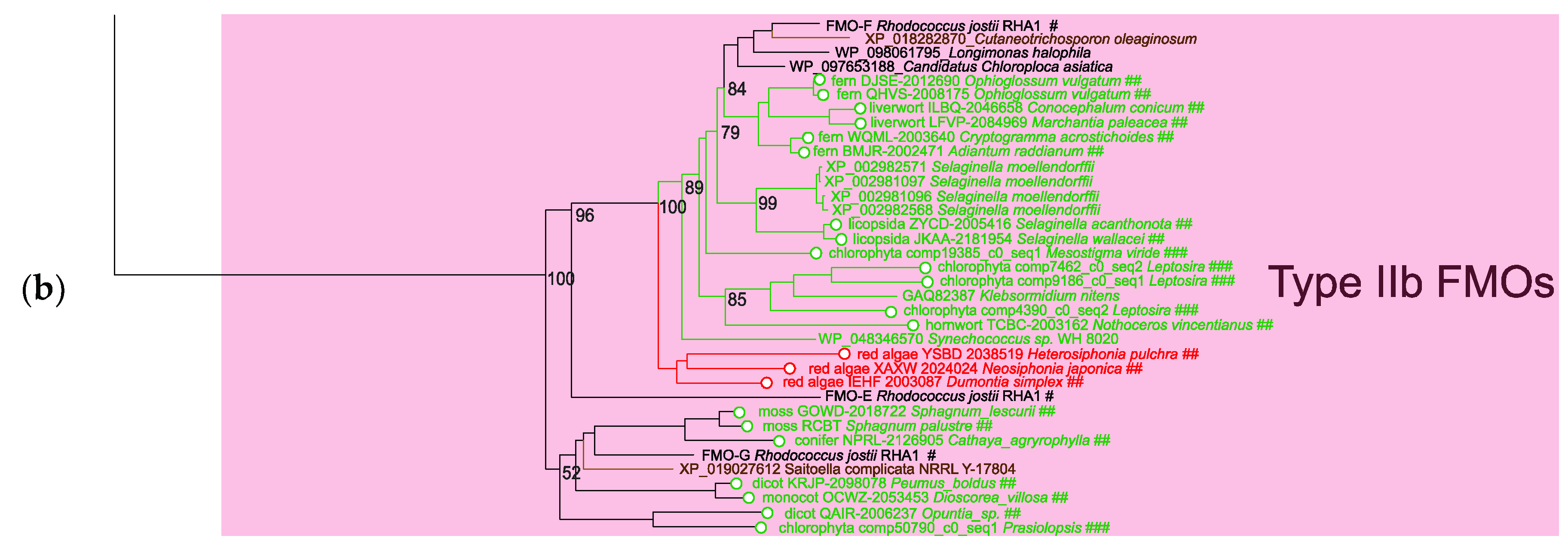 Plants 09 01092 g004b