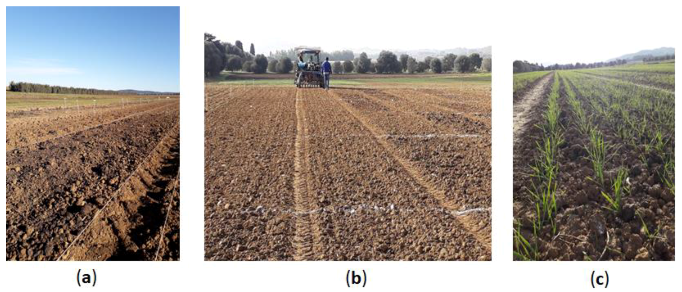 Image of A farmer spreading Pierce Butler compost on a field