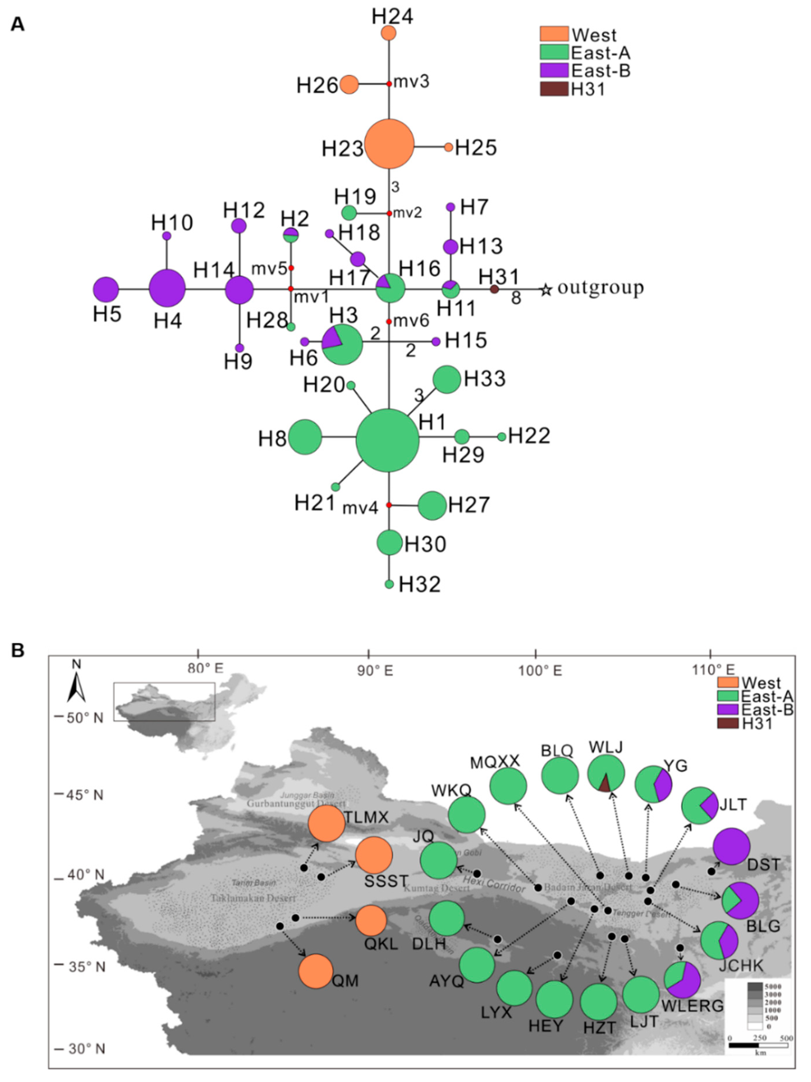 Plants 09 01100 g002