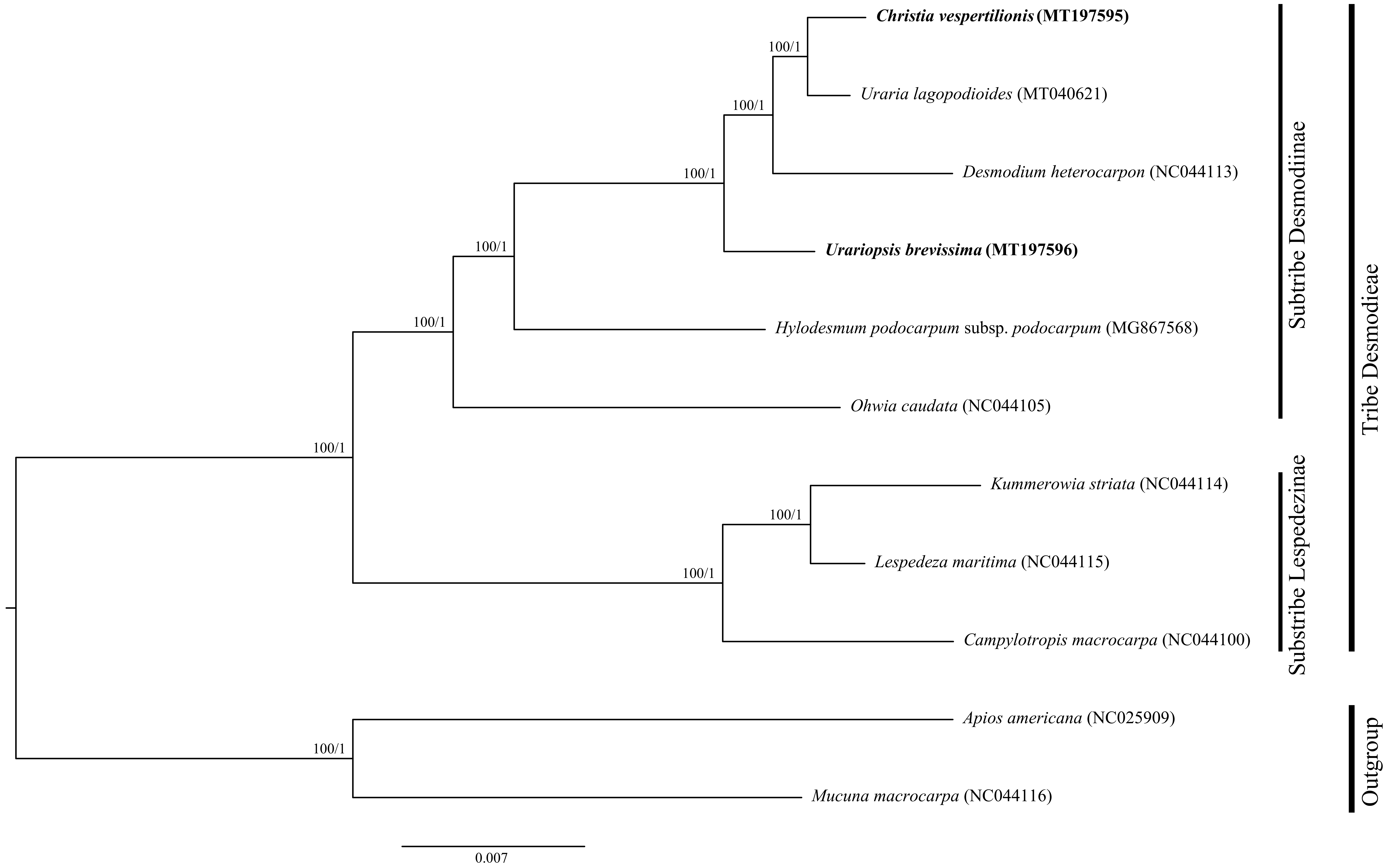 Plants 09 01116 g007 Plants 09 01116 g007