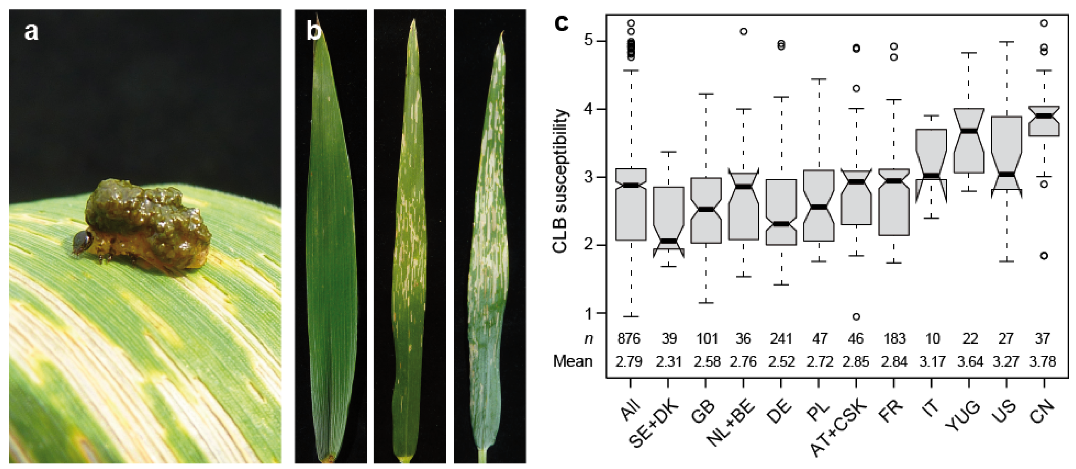 Plants 09 01117 g001