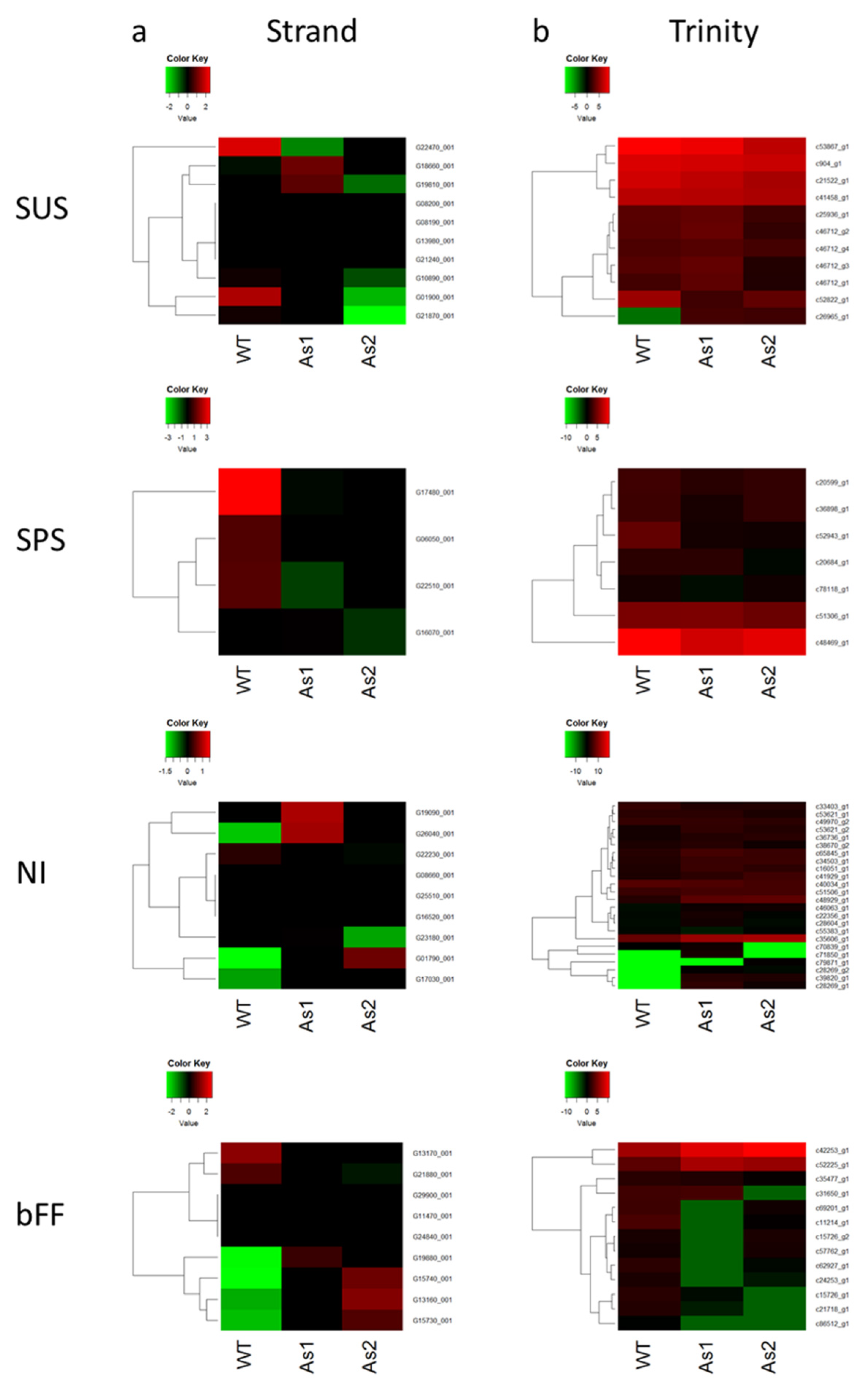 Plants 09 01120 g003
