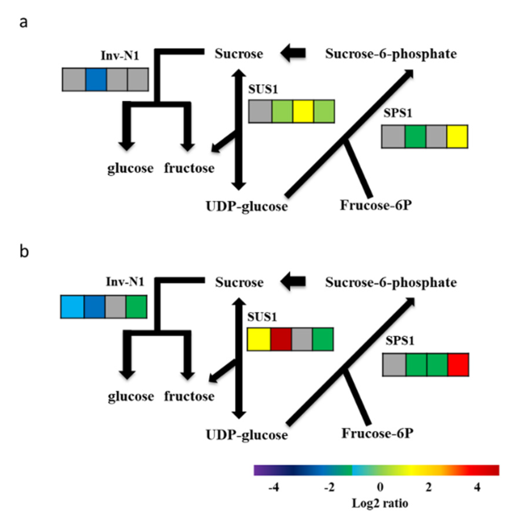 Plants 09 01120 g004