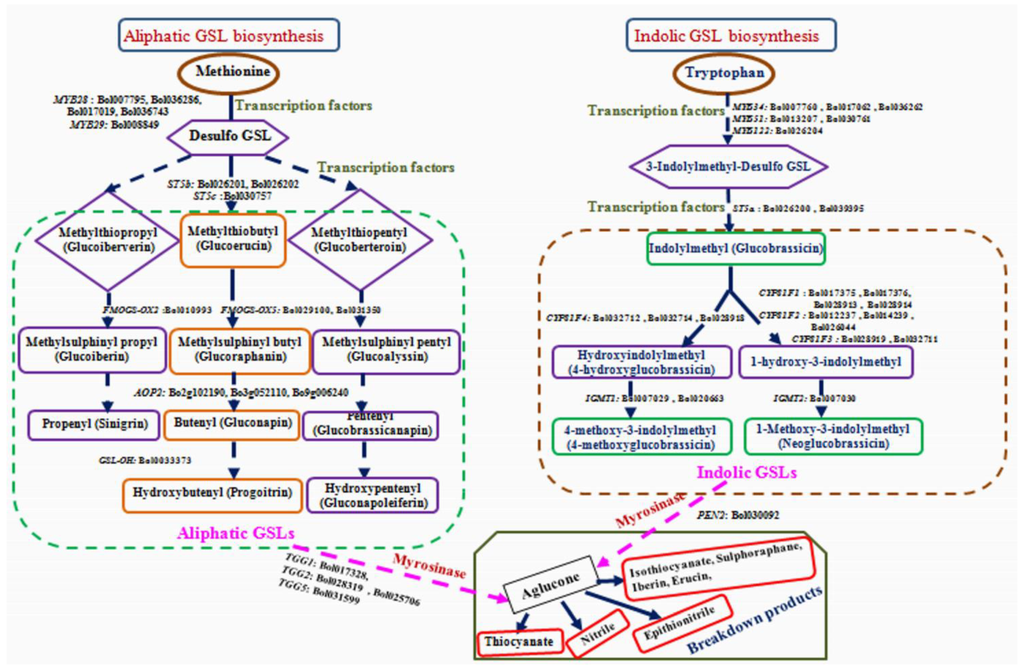 Plants 09 01121 g002