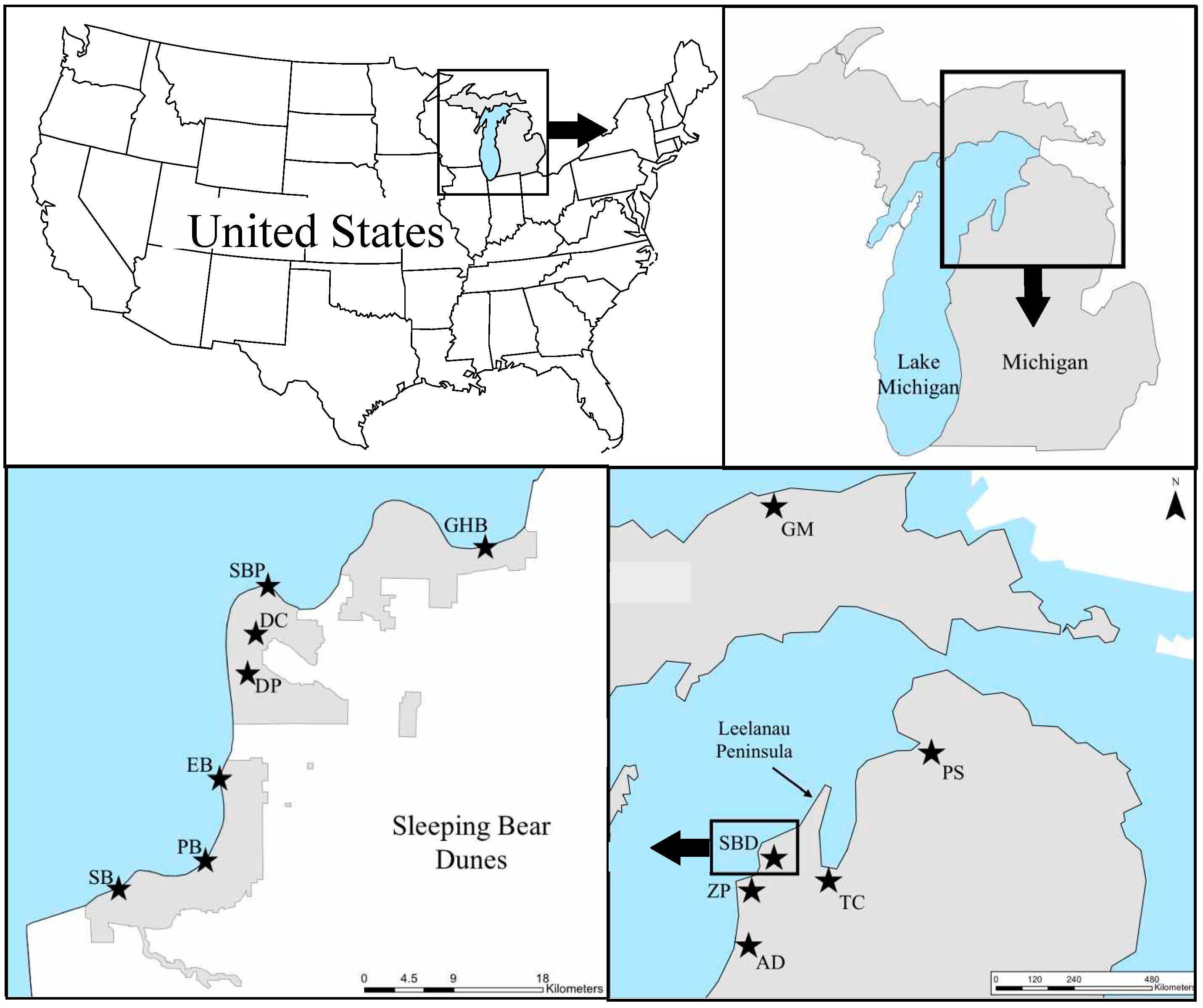 Plants 09 01123 g001