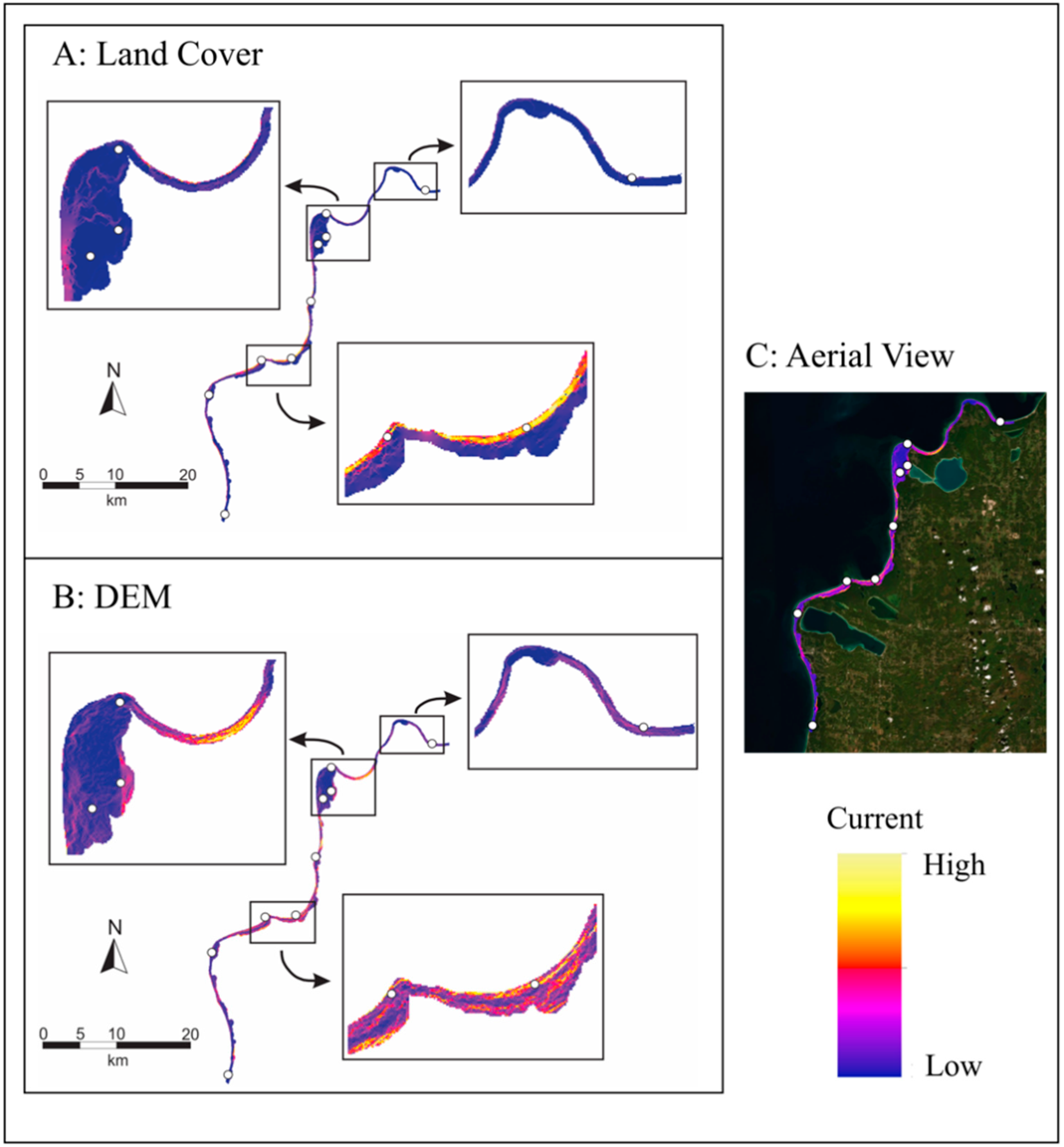 Plants 09 01123 g003