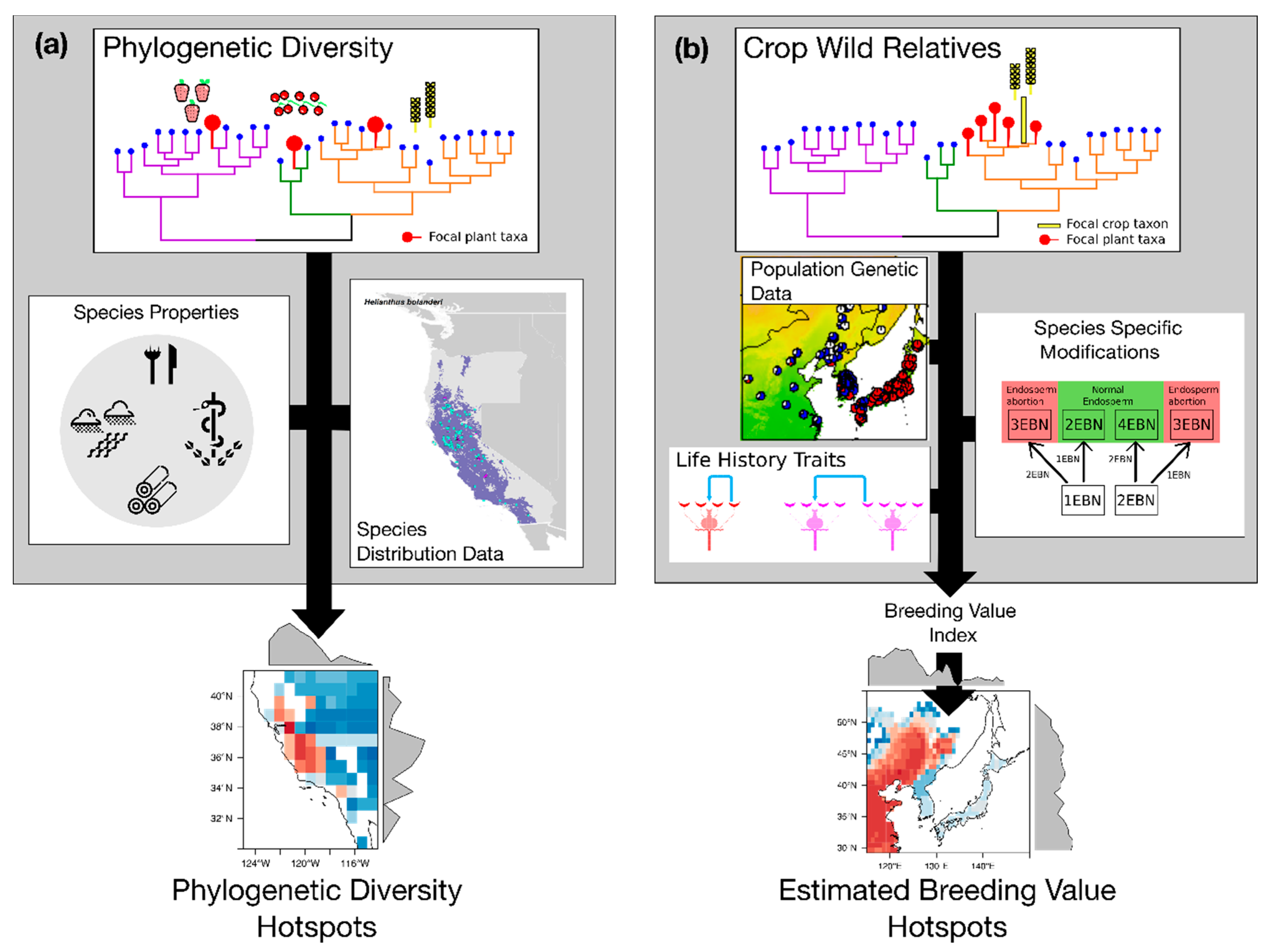 Plants 09 01128 g004