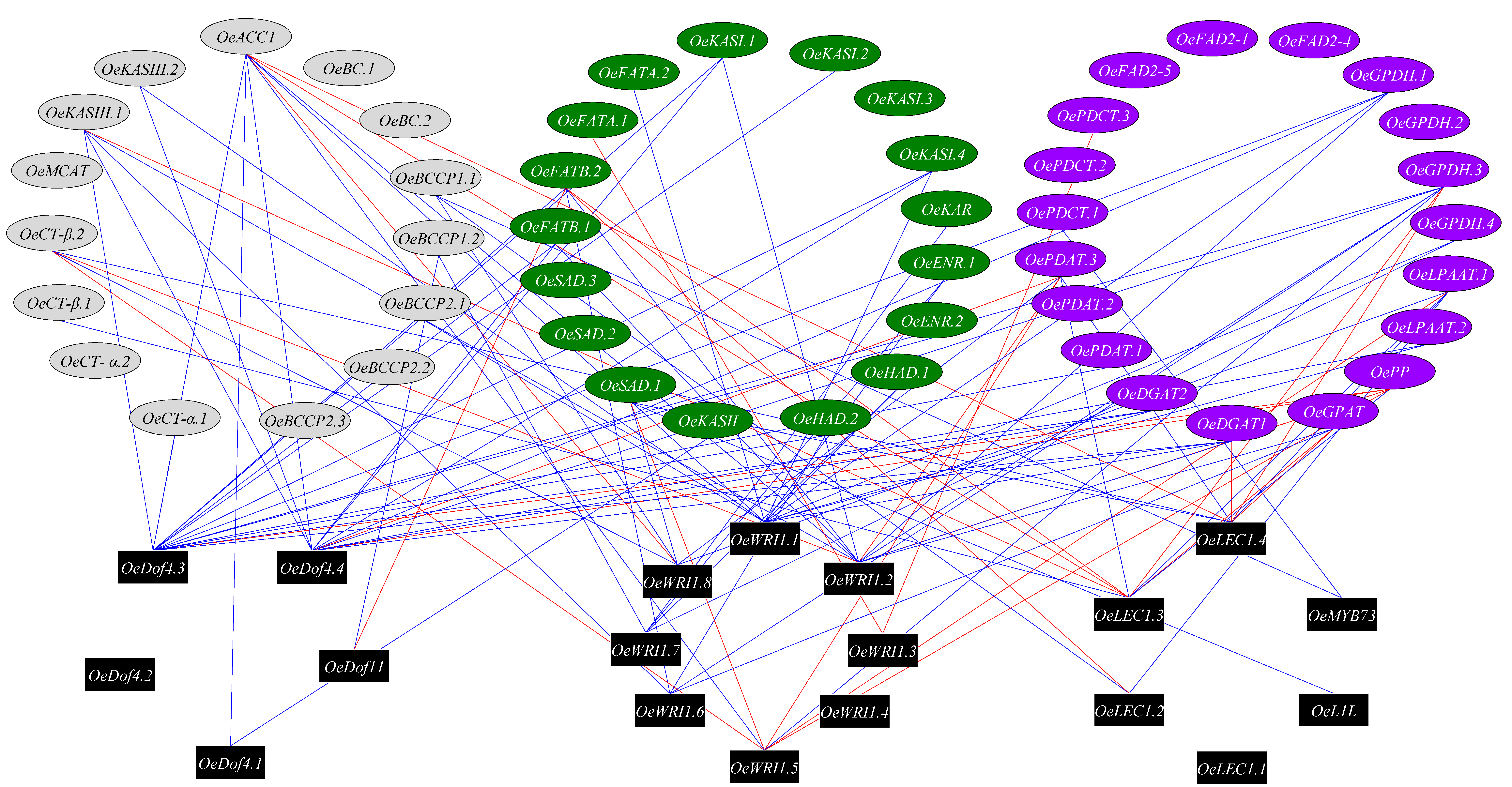 Plants 09 01135 g004 Plants 09 01135 g004