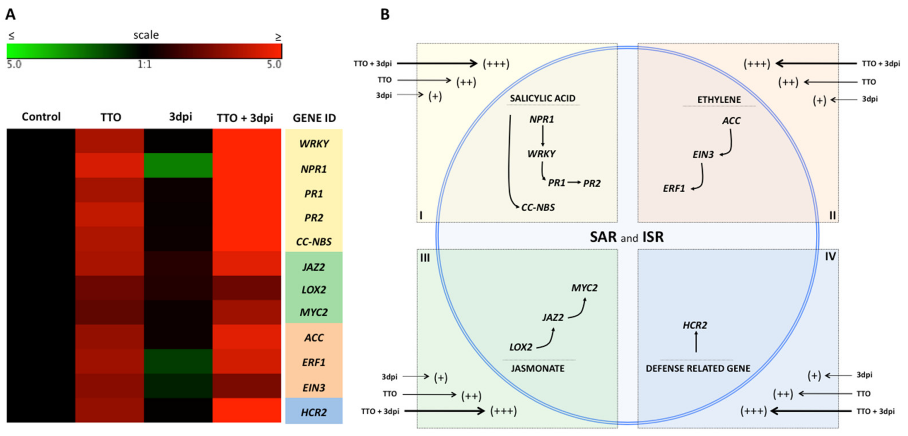 Plants 09 01137 g005