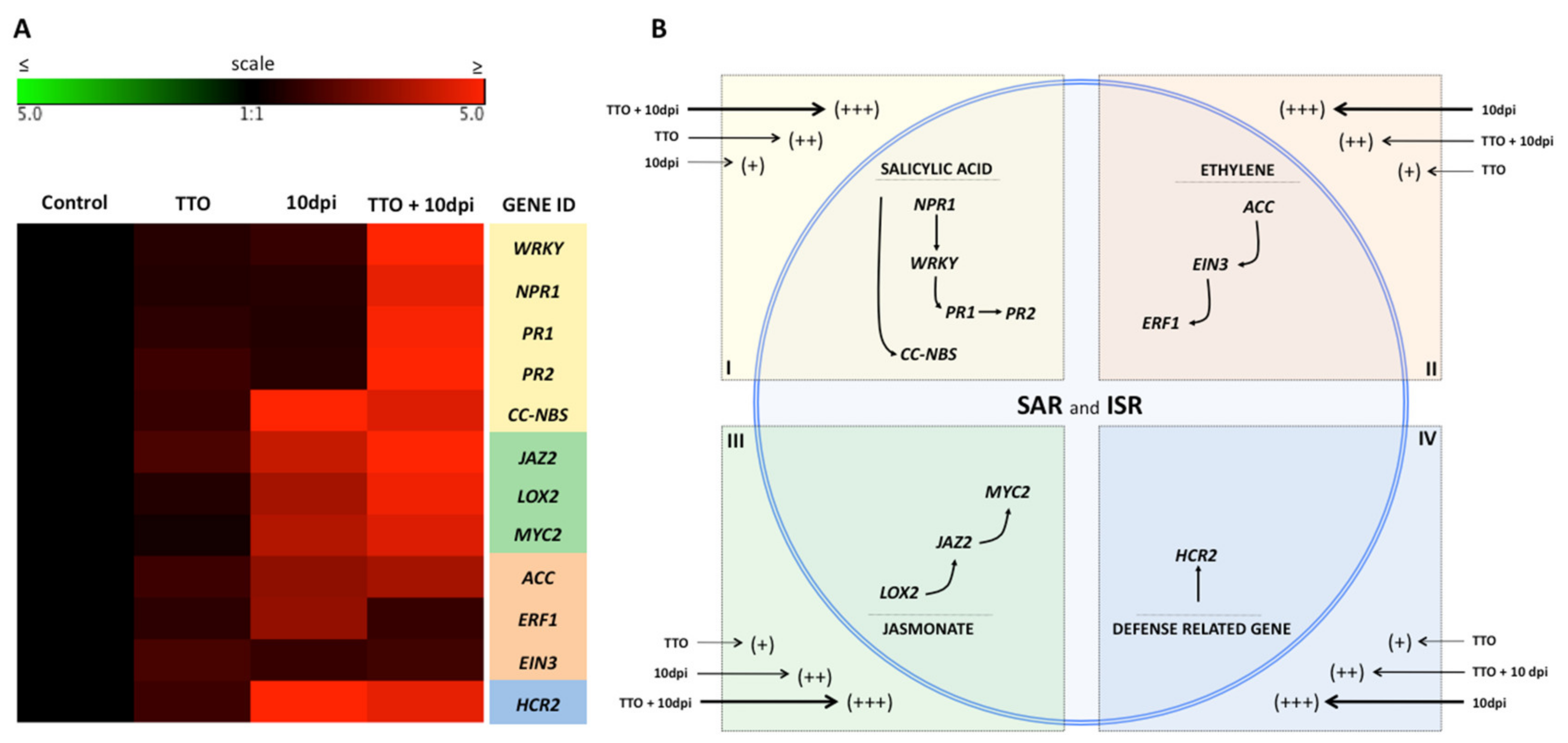 Plants 09 01137 g006
