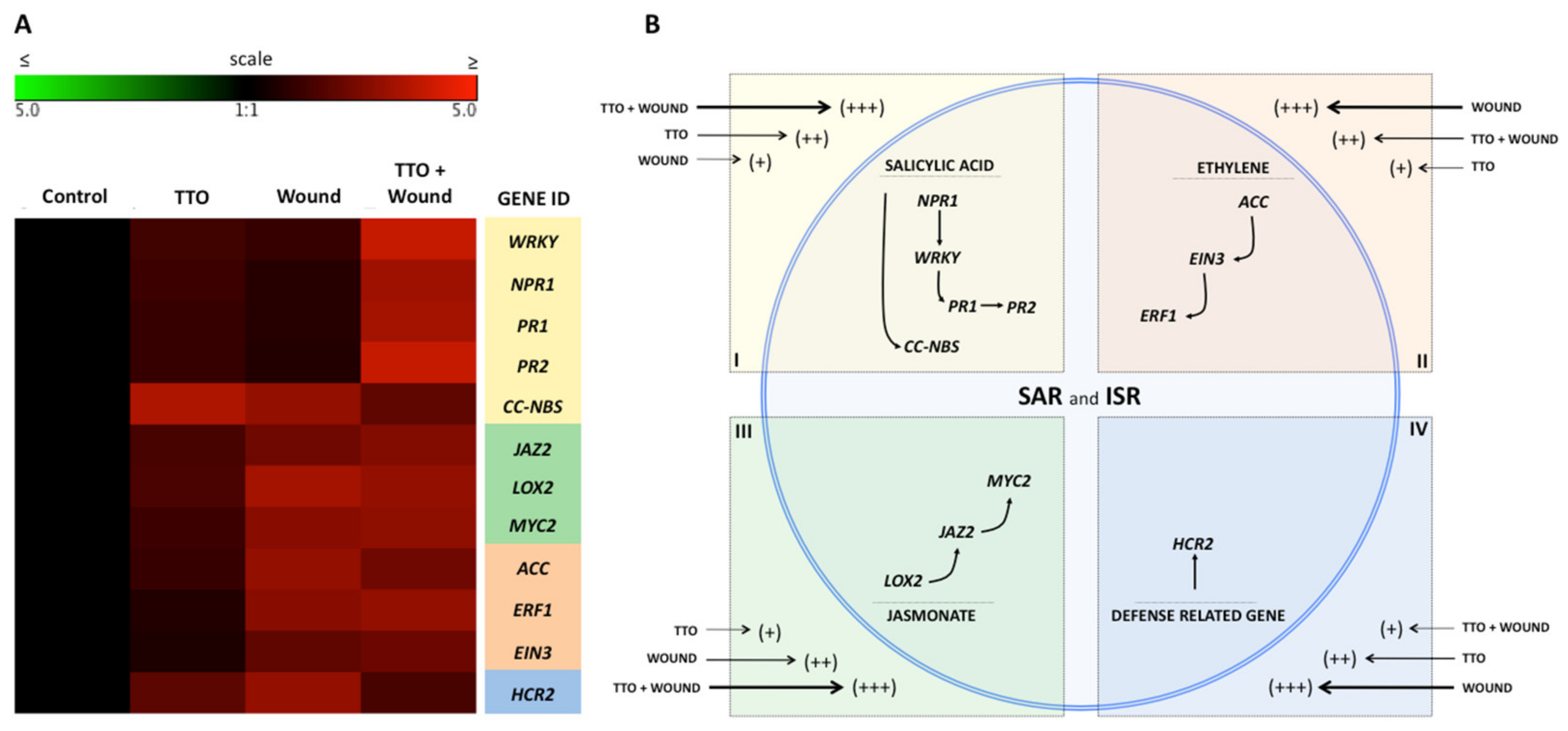 Plants 09 01137 g007